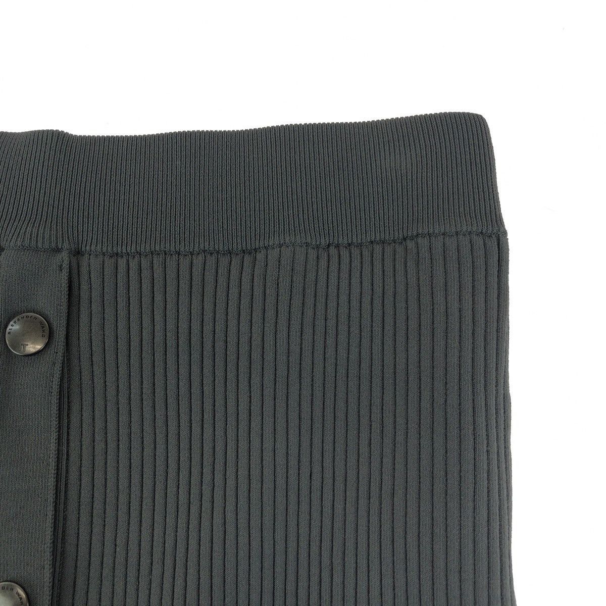 Alexander Wang Alexander Wang Alexander Wang Rayon Pleated Skirt Textile Skirts DUTY FREE for USA Size ONE SIZE - 6 Thumbnail