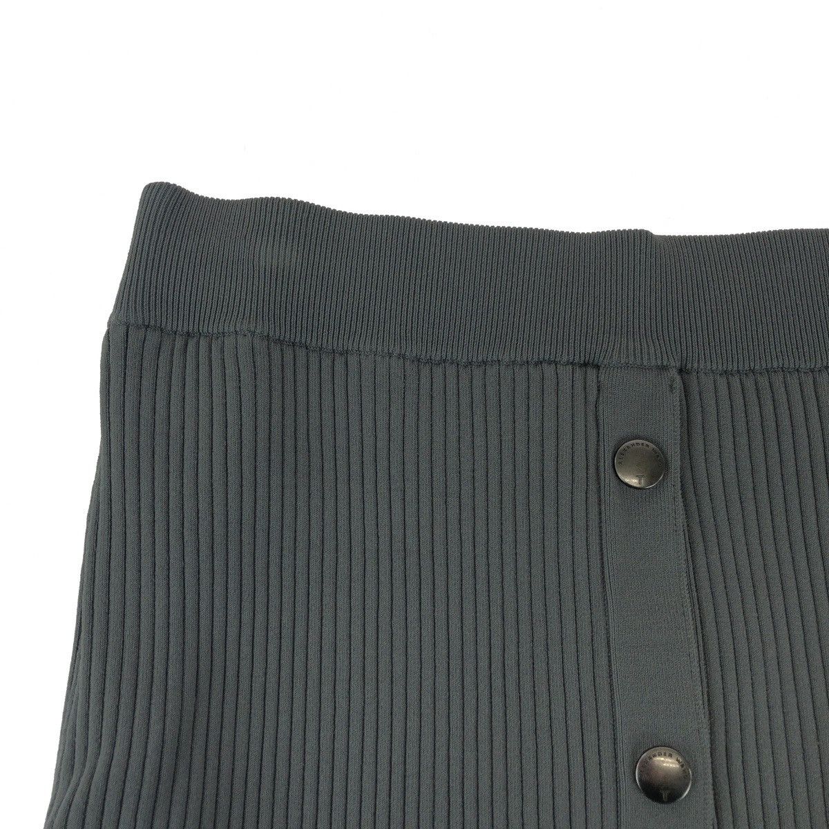 Alexander Wang Alexander Wang Alexander Wang Rayon Pleated Skirt Textile Skirts DUTY FREE for USA Size ONE SIZE - 5 Thumbnail