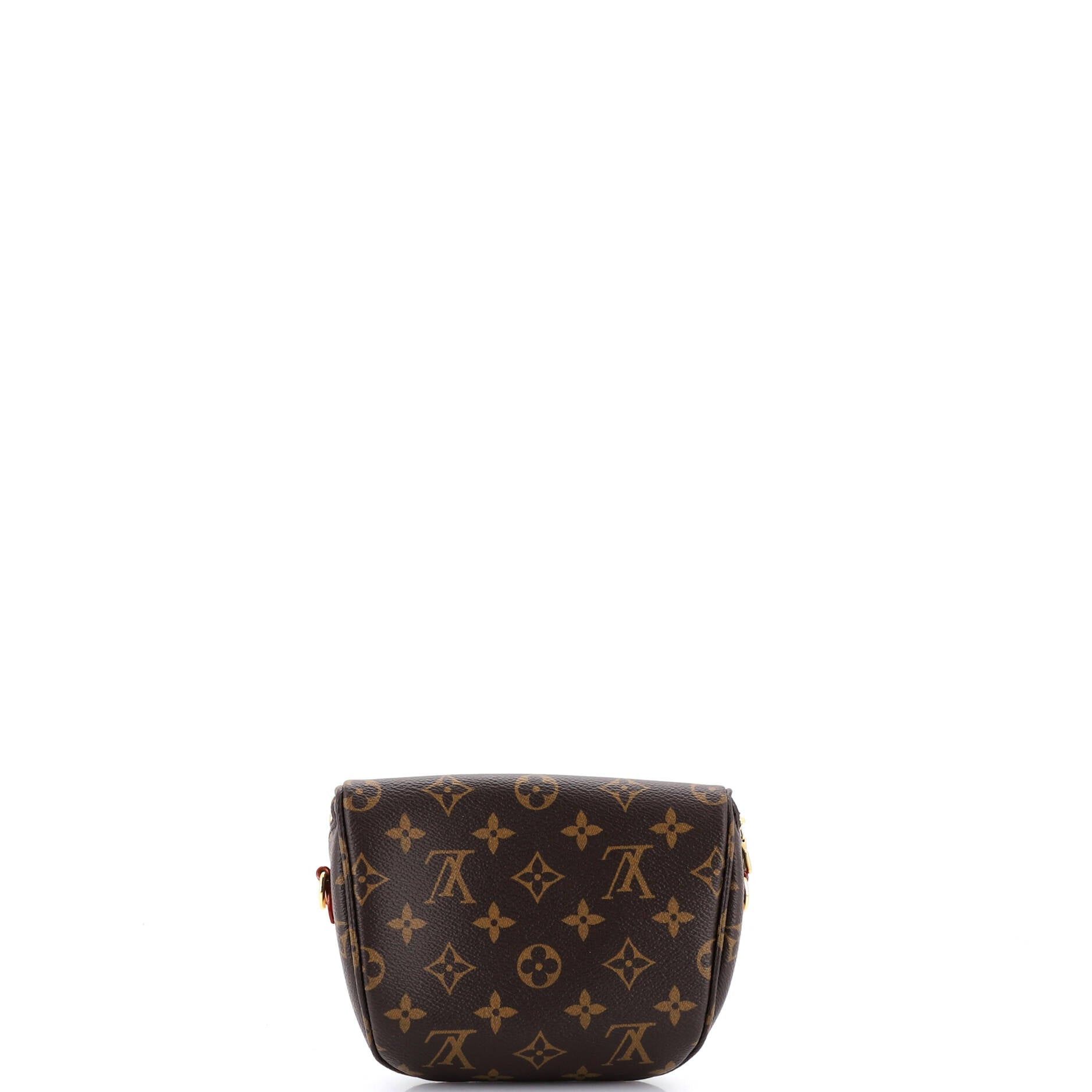 Louis Vuitton Bum Bag Size ONE SIZE - 3 Thumbnail