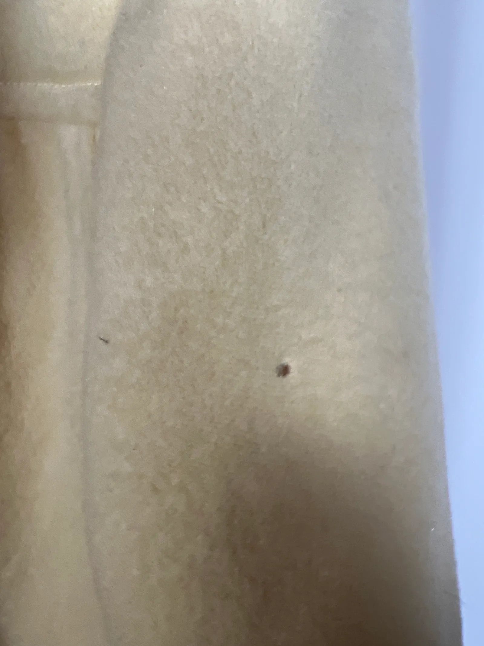 Maryam Nassir Zadeh Maryam Nassir Zadeh Coat Size S / US 4 / IT 40 - 4 Thumbnail