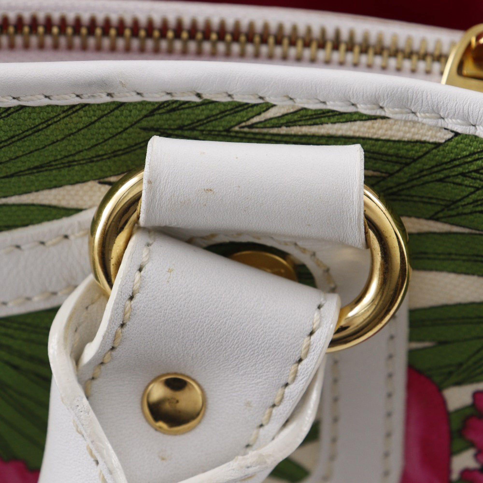 Celine Canvas Botanical Print Boogie Handbag Size ONE SIZE - 15 Thumbnail
