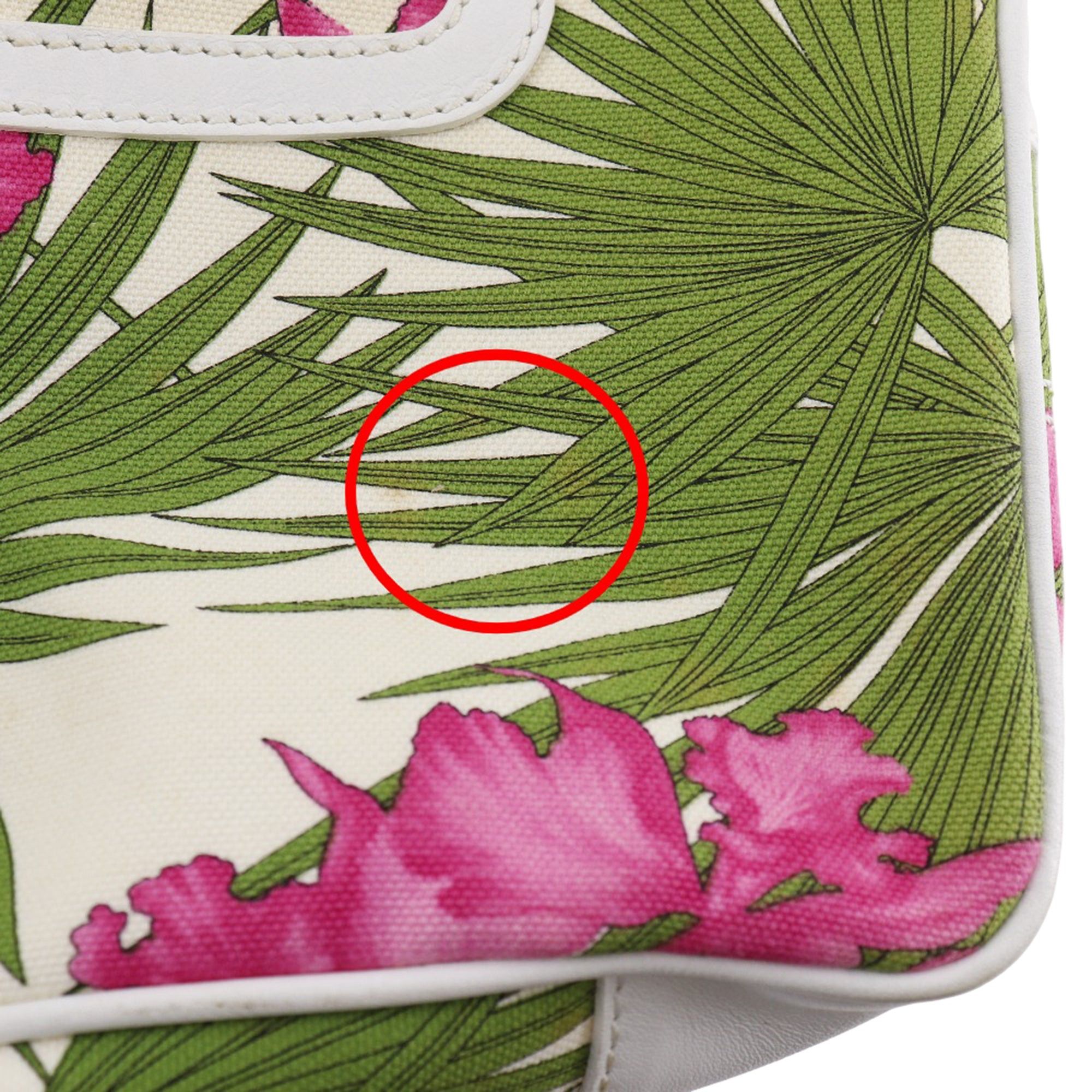 Celine Canvas Botanical Print Boogie Handbag Size ONE SIZE - 19 Thumbnail