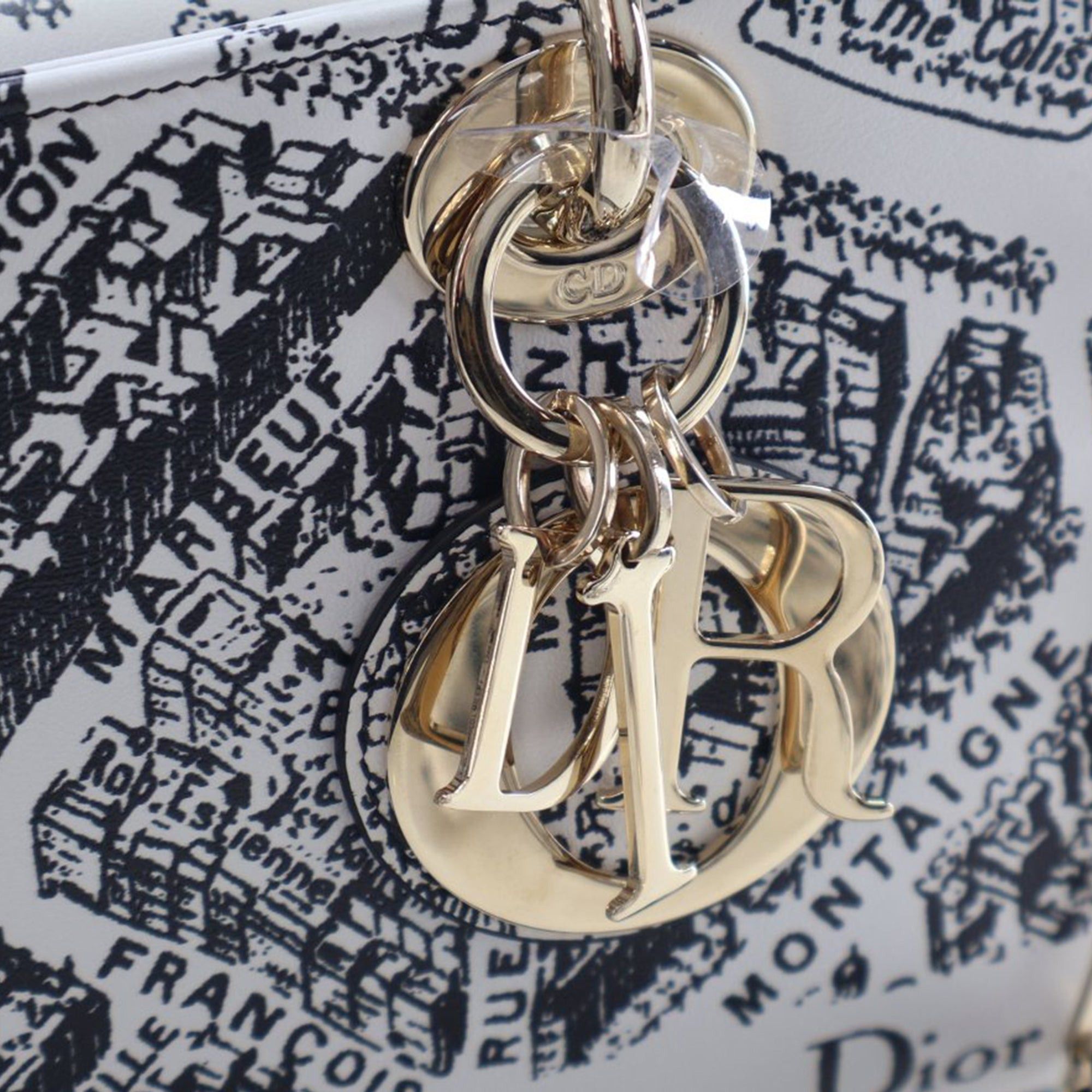 Dior Medium Calfskin Plan De Paris Printed Lady D Joy Size ONE SIZE - 7 Thumbnail