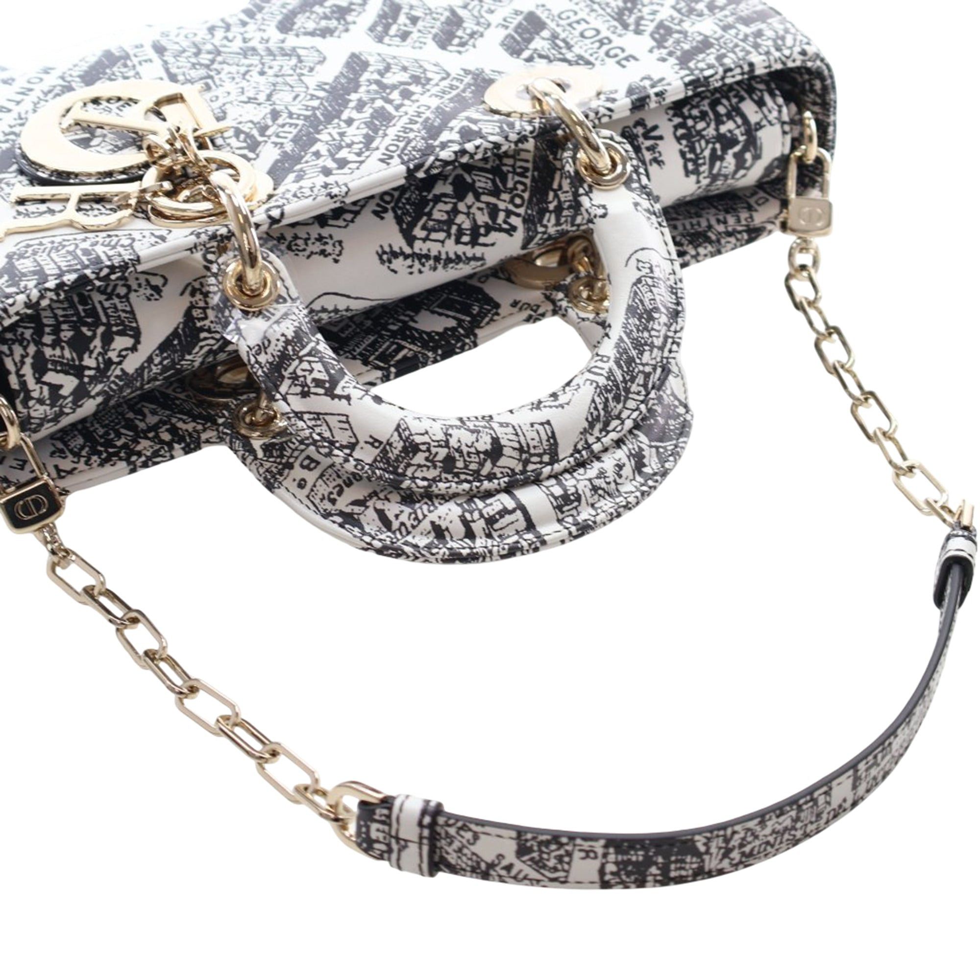 Dior Medium Calfskin Plan De Paris Printed Lady D Joy Size ONE SIZE - 12 Thumbnail