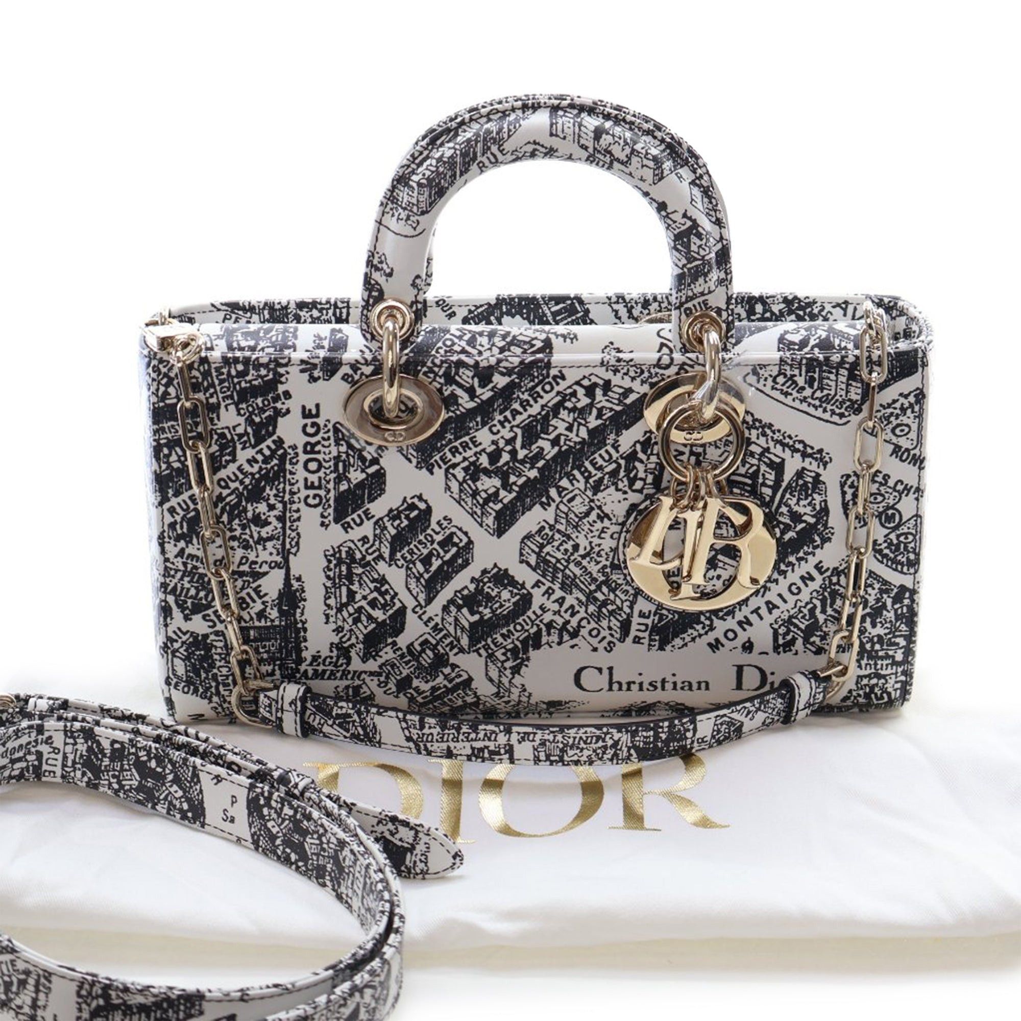 Dior Medium Calfskin Plan De Paris Printed Lady D Joy Size ONE SIZE - 14 Thumbnail