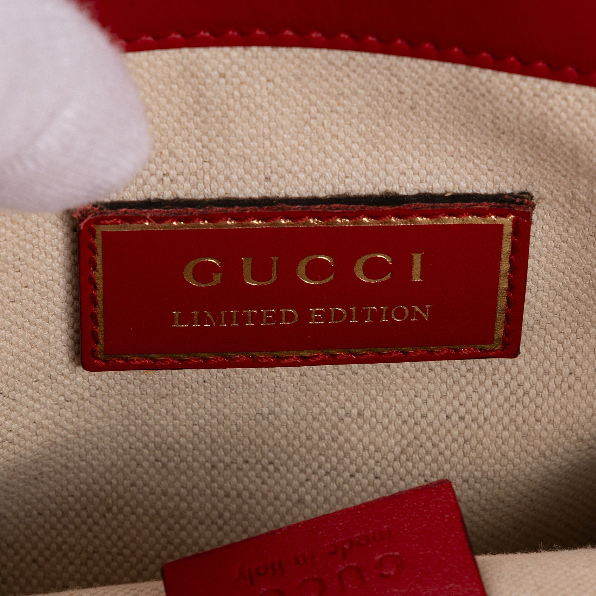 Gucci Limited Edition Chinese New Year Dionysus Mini Size ONE SIZE - 11 Thumbnail
