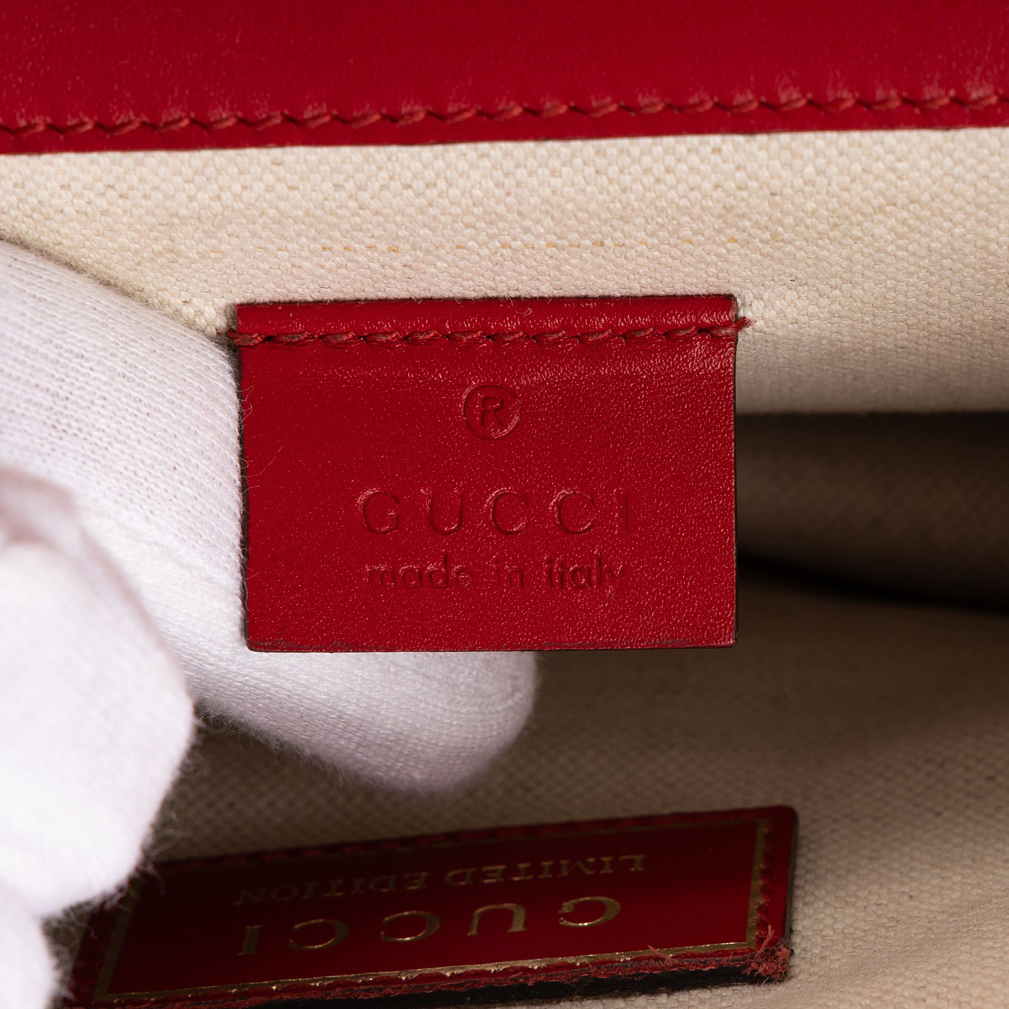 Gucci Limited Edition Chinese New Year Dionysus Mini Size ONE SIZE - 10 Thumbnail
