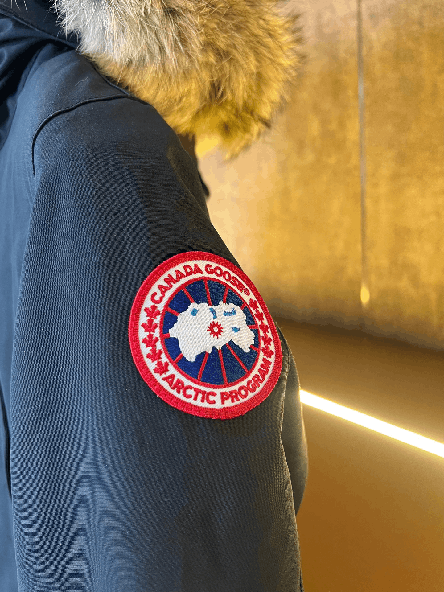 Canada Goose Canada Goose Down Heavy Coat s Men Size US S / EU 44-46 / 1 - 3 Thumbnail