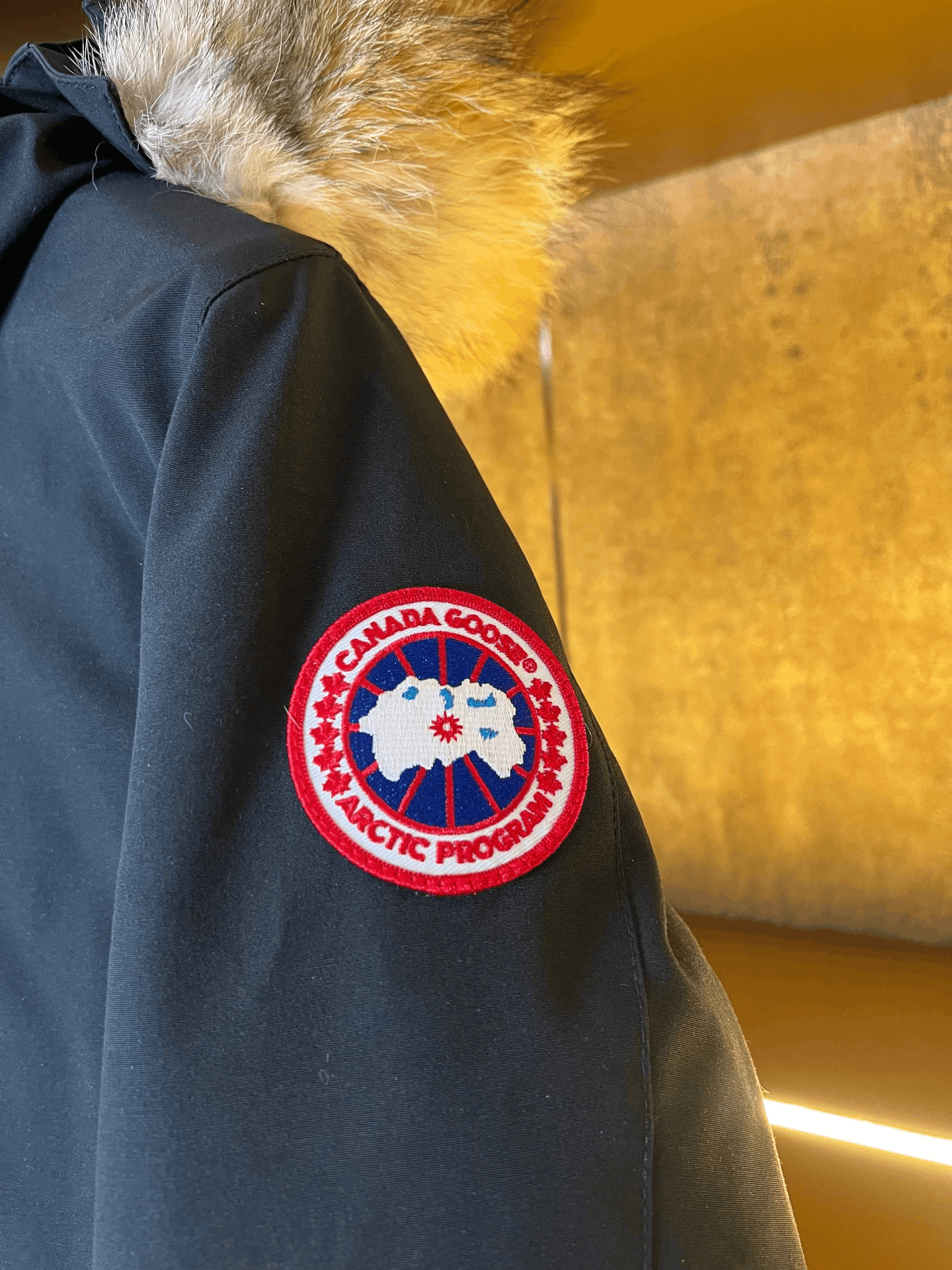 Canada Goose Canada Goose Down Heavy Coat s Men Size US S / EU 44-46 / 1 - 3 Thumbnail