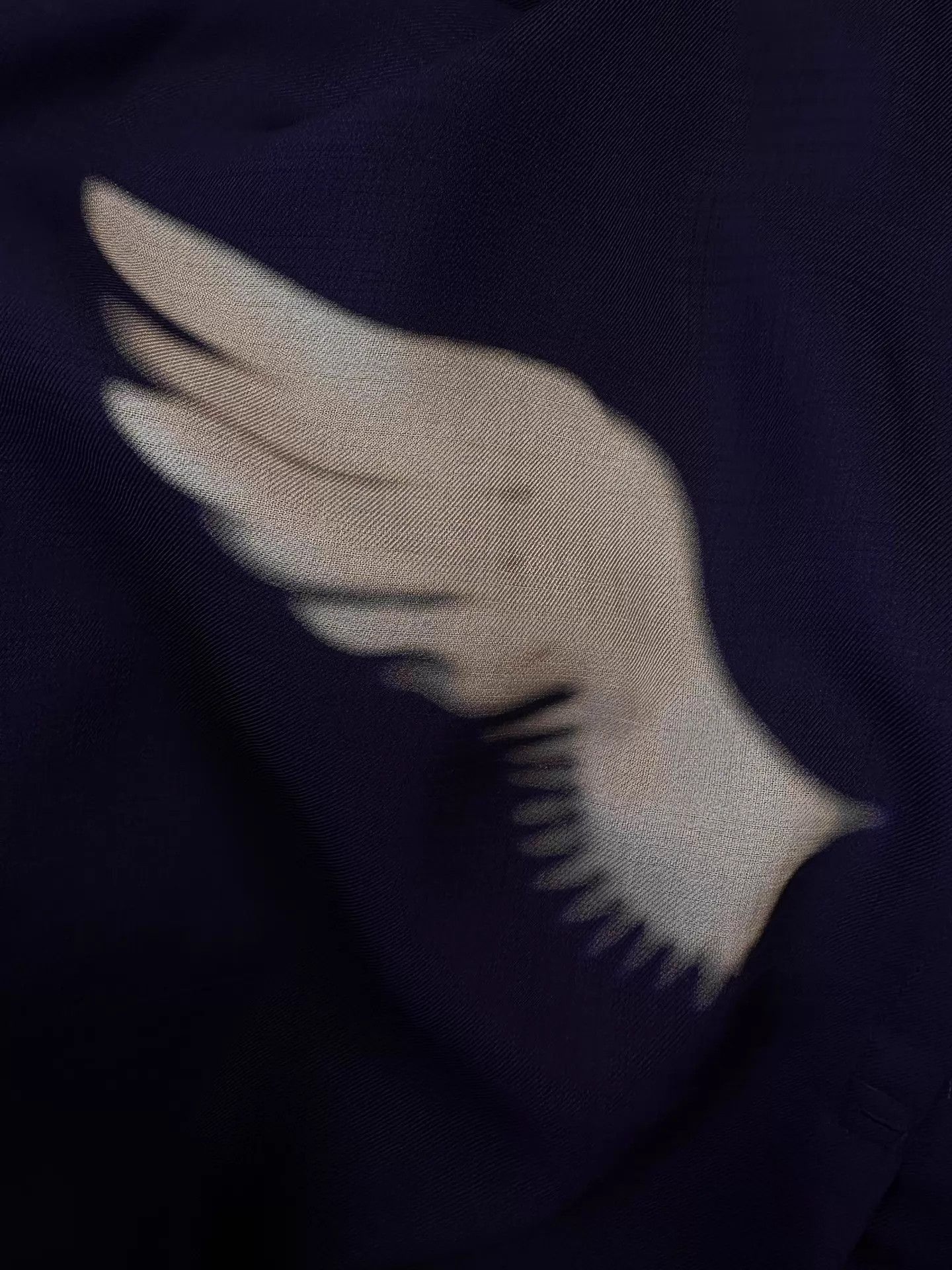 Yohji Yamamoto Blue Long Sleeve Shirt with White Wing Design Size US M / EU 48-50 / 2 - 4 Thumbnail