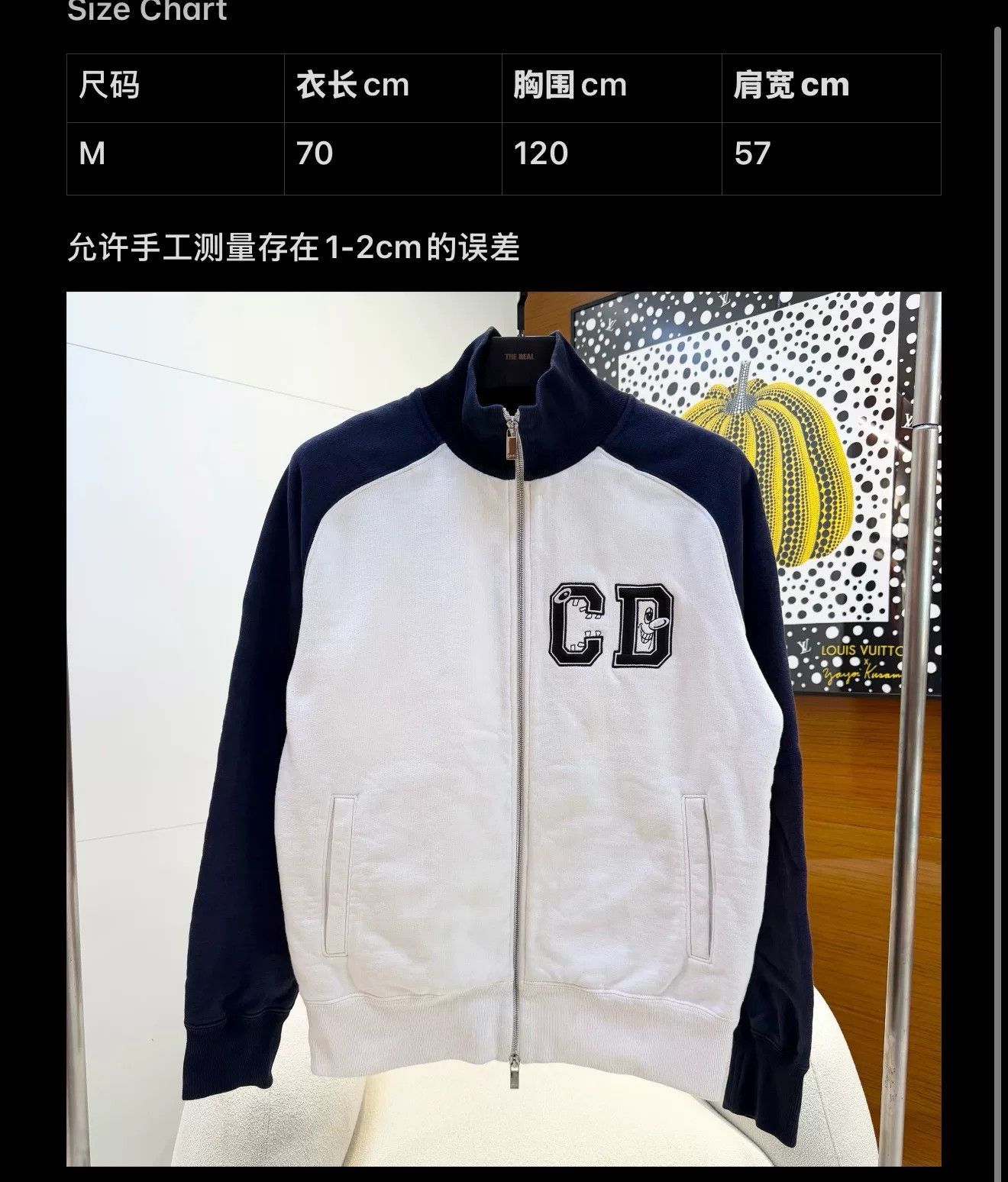 Dior DIOR White Blue Embroidered Logo Jacket Size US M / EU 48-50 / 2 - 9 Thumbnail