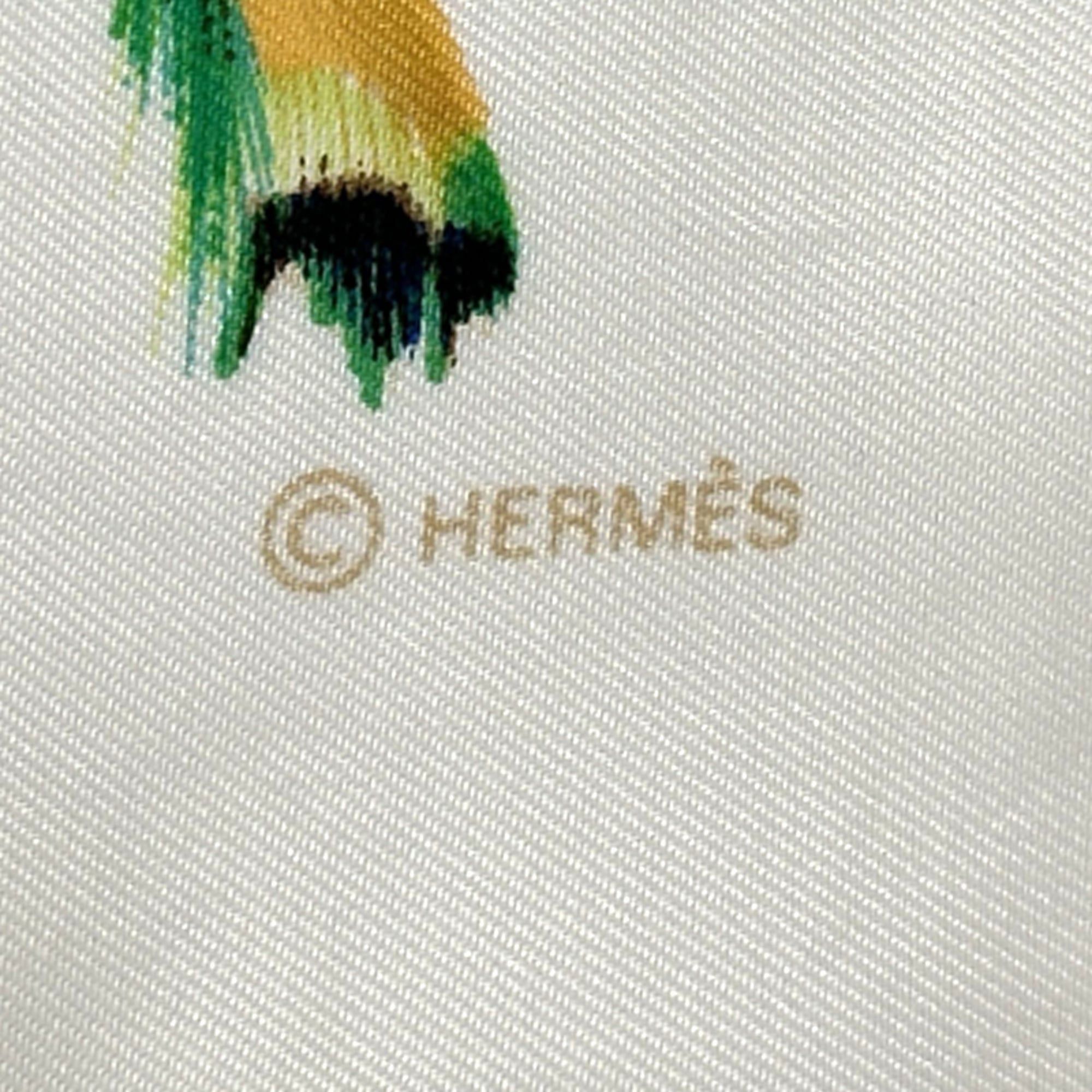 Hermes Hermes scarf/muffler, Carre 90, PLUMES by Henride Linares, feather design, women's, brand, silk, white, cream. Size ONE SIZE - 3 Thumbnail