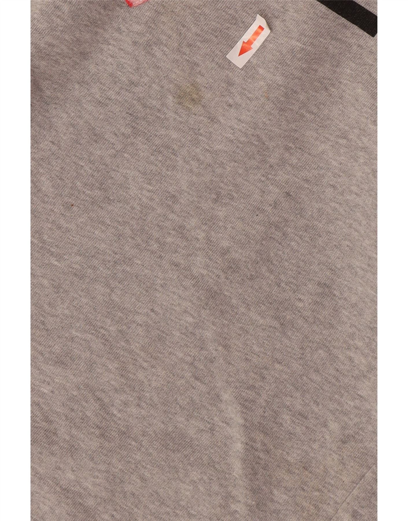 Diesel Mens Graphic Sweatshirt Jumper Small Grey Cotton Size US L / EU 52-54 / 3 - 3 Thumbnail