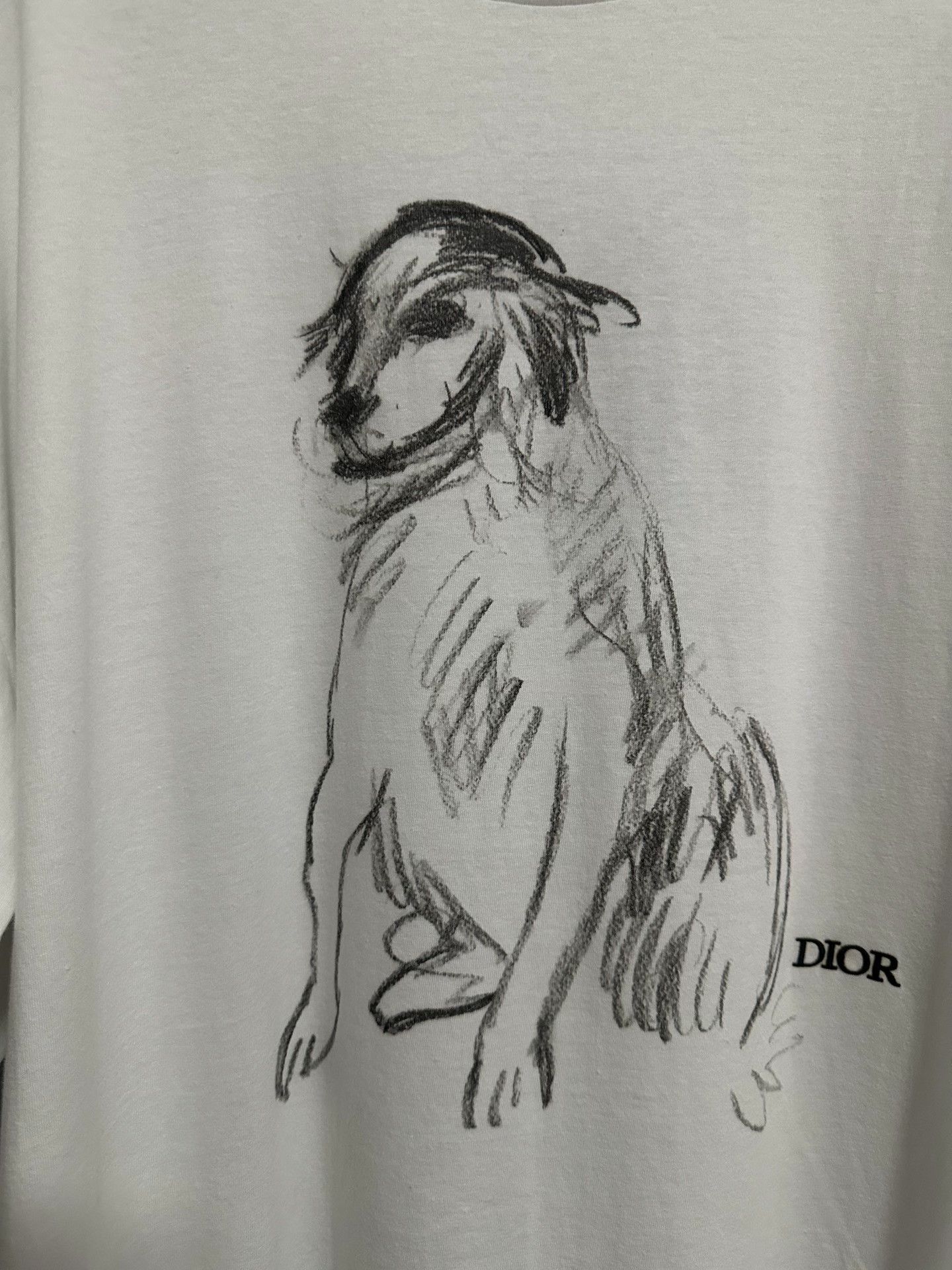 Dior Dior Sketch Dog Graphic T-Shirt XL Size US XL / EU 56 / 4 - 2 Thumbnail