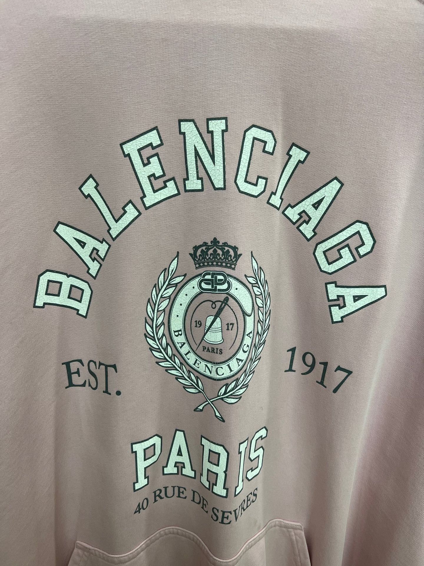 Balenciaga Balenciaga Pink Wheat Ear Logo Hoodie Size M / US 6-8 / IT 42-44 - 3 Thumbnail
