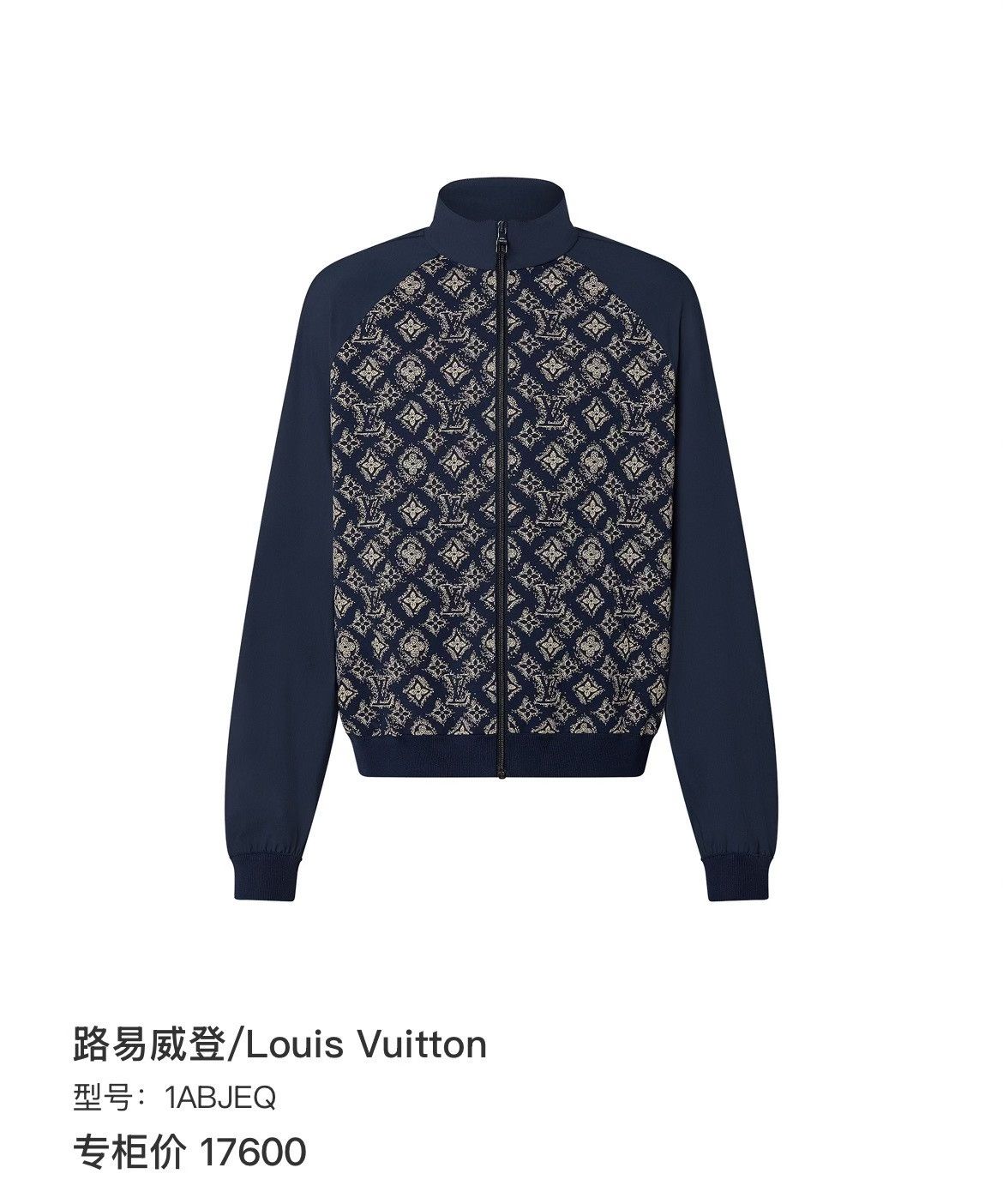 Louis Vuitton Louis Vuitton Light Jacket l Men Size US L / EU 52-54 / 3 - 6 Thumbnail