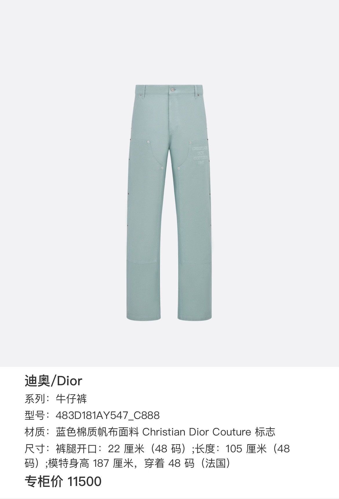 Dior Dior Cargo Casual Pants 30 Men Size US 30 / EU 46 - 6 Thumbnail