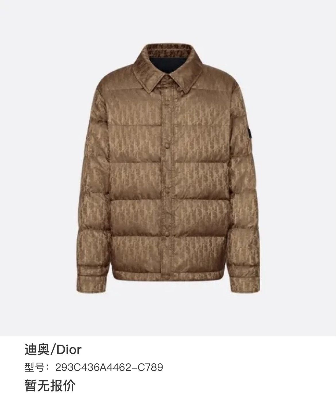 Dior Dior Down Gold Heavy Coat m Men Size US M / EU 48-50 / 2 - 6 Thumbnail