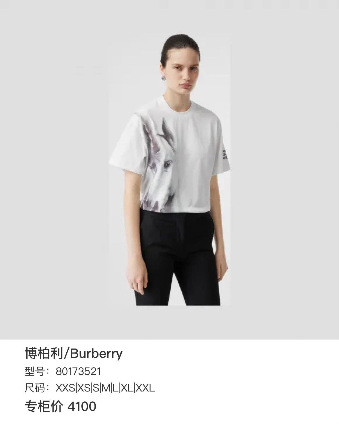 Burberry Burberry T-Shirt s Men Size US S / EU 44-46 / 1 - 6 Thumbnail