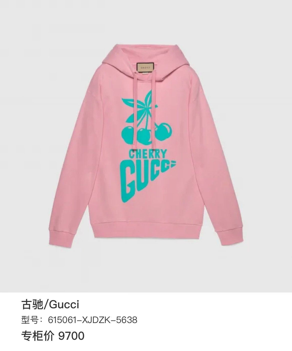 Gucci Gucci Hoodie S Women Size S / US 4 / IT 40 - 6 Thumbnail