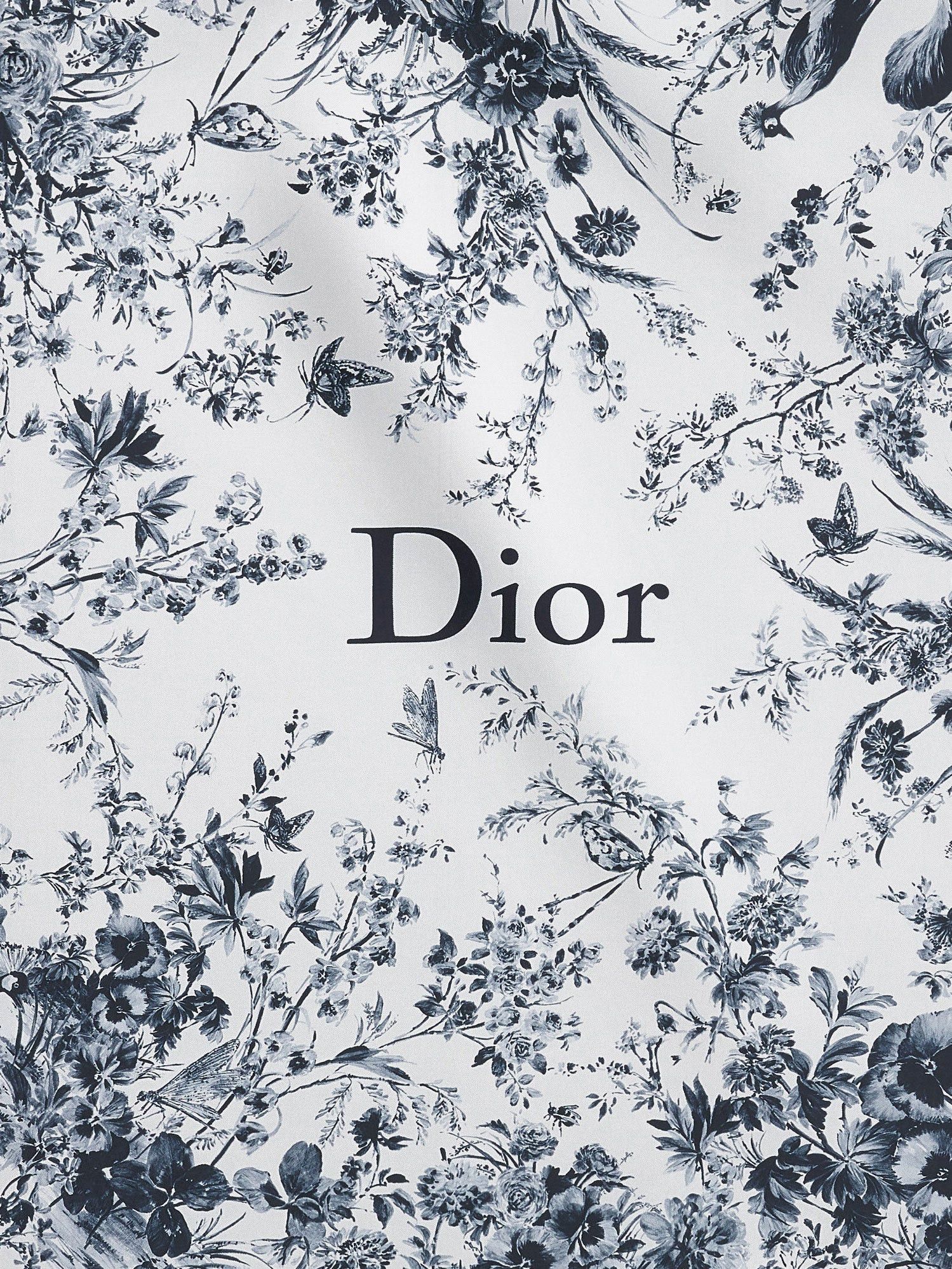 Dior Silk Foulard Size ONE SIZE - 2 Thumbnail