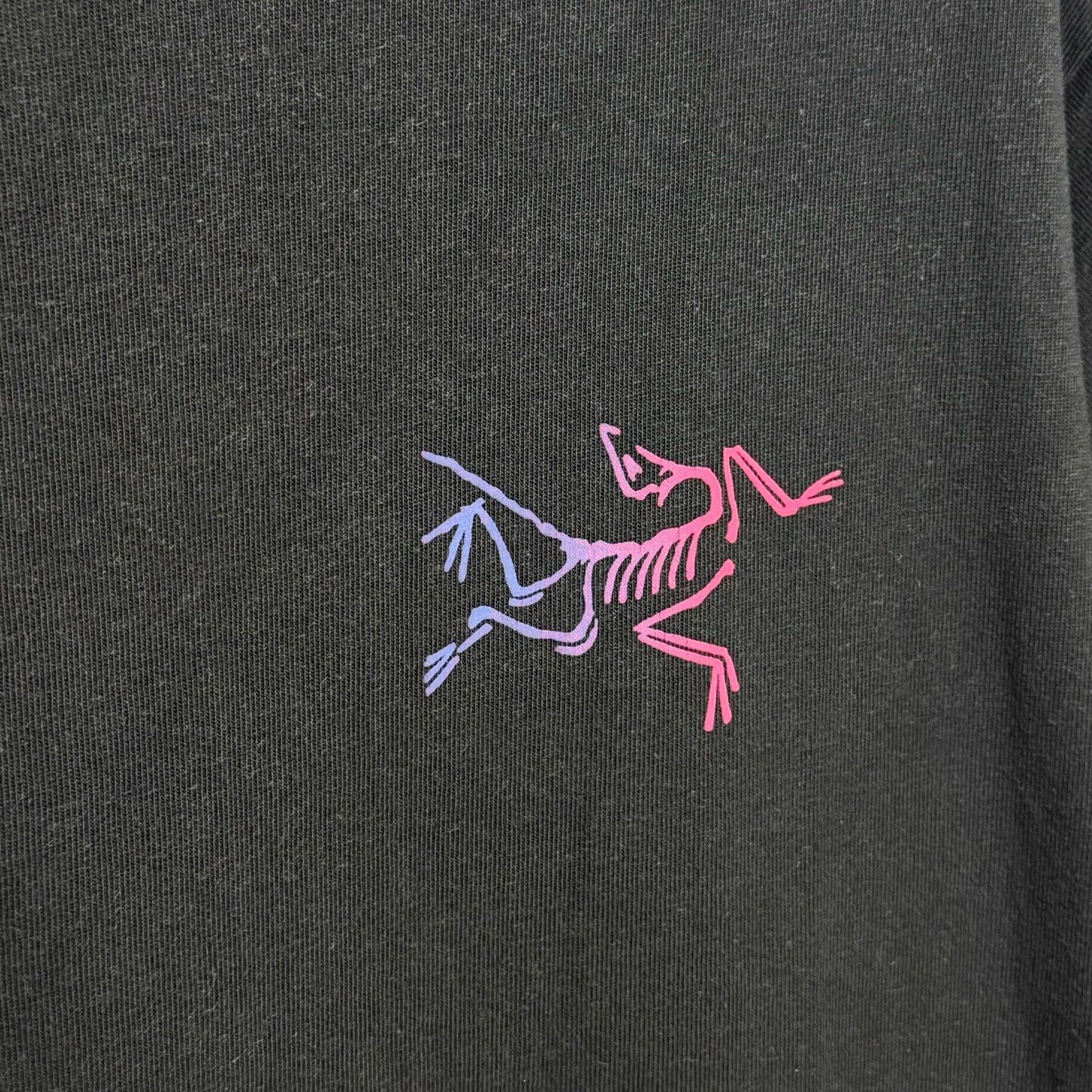 Arc'teryx Arcteryx Kragg Cotton Logo SS T-Shirt Size US M / EU 48-50 / 2 - 3 Thumbnail
