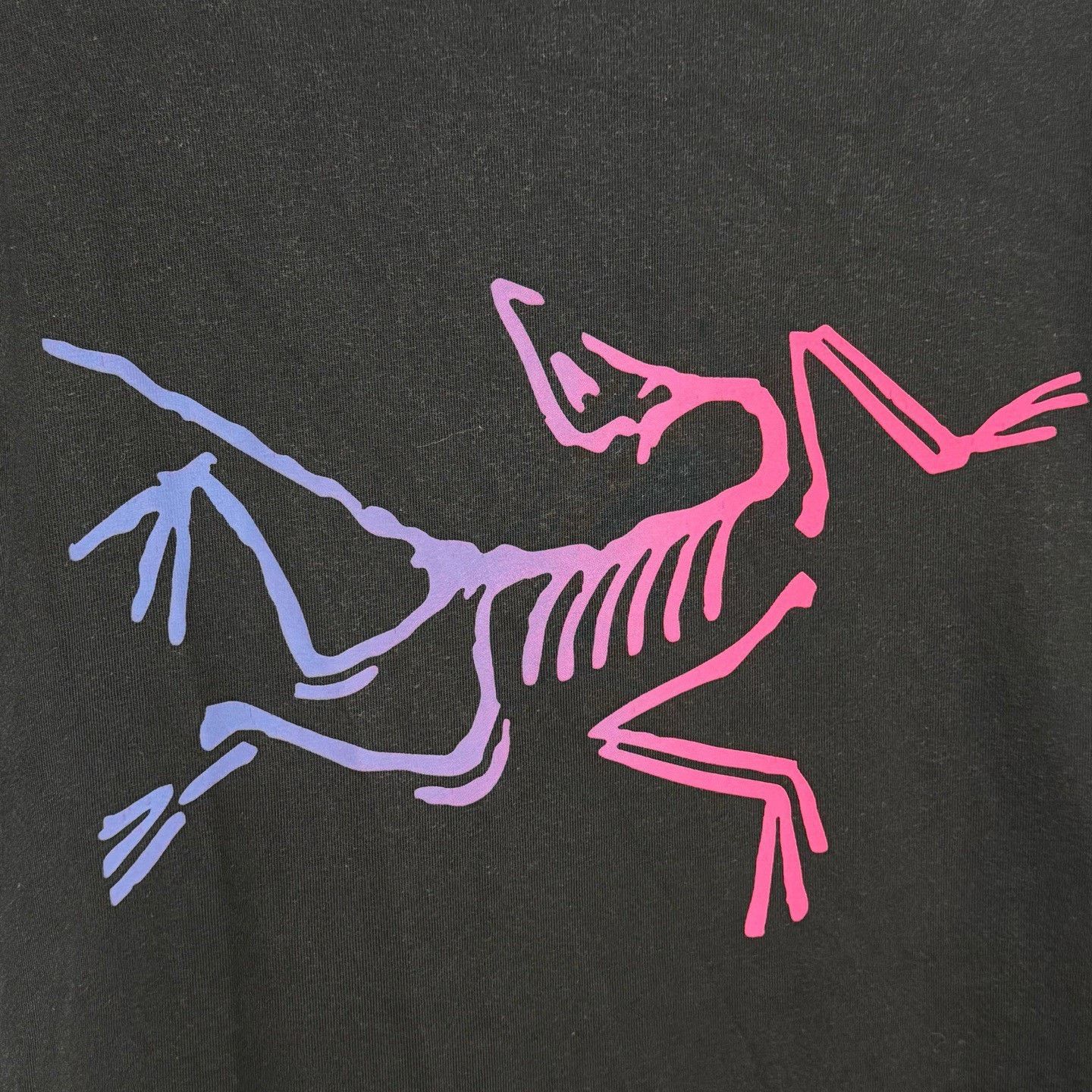 Arc'teryx Arcteryx Kragg Cotton Logo SS T-Shirt Size US M / EU 48-50 / 2 - 4 Thumbnail