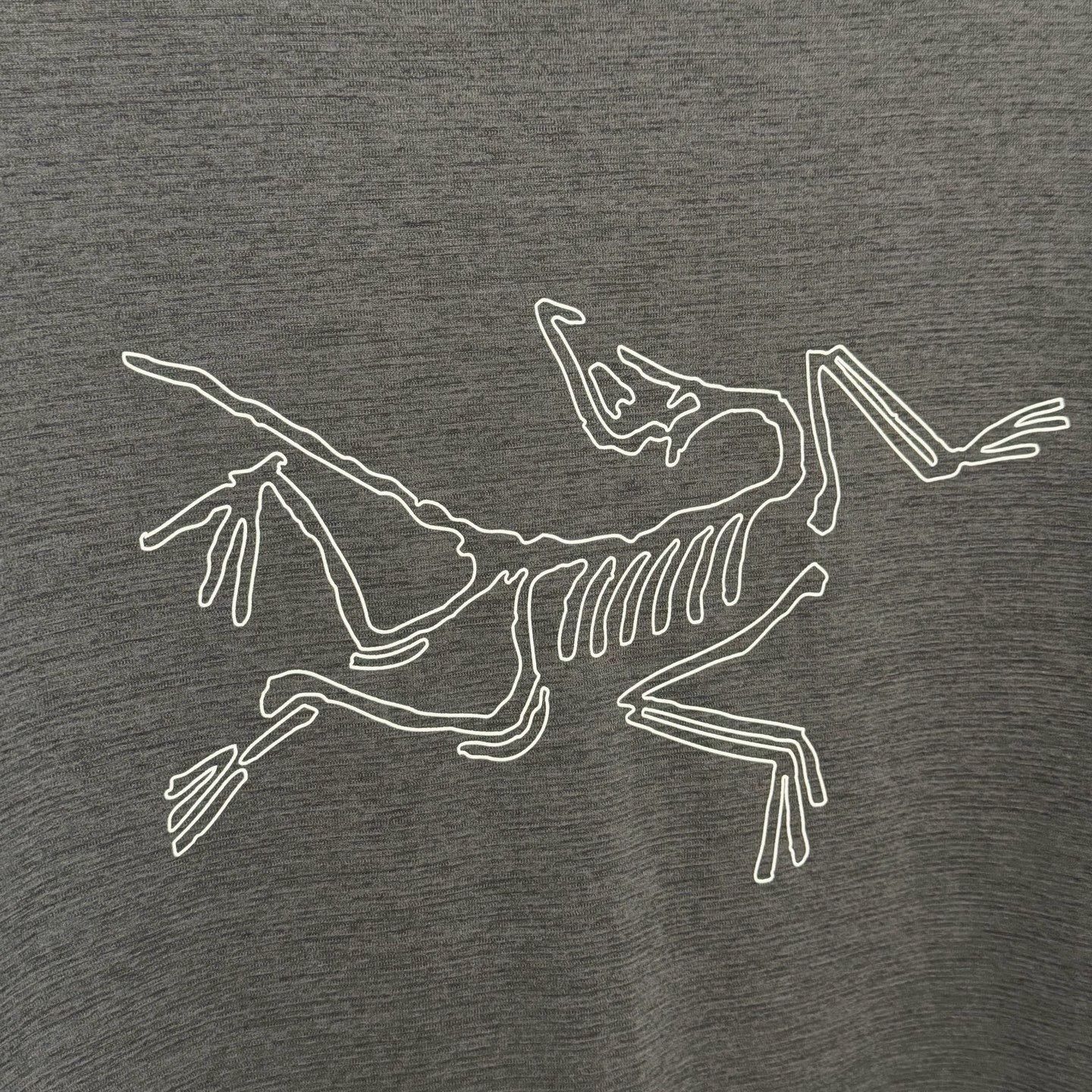 Arc'teryx Arcteryx CORMAC Logo Quick-Dry T-Shirt Size US XL / EU 56 / 4 - 3 Thumbnail