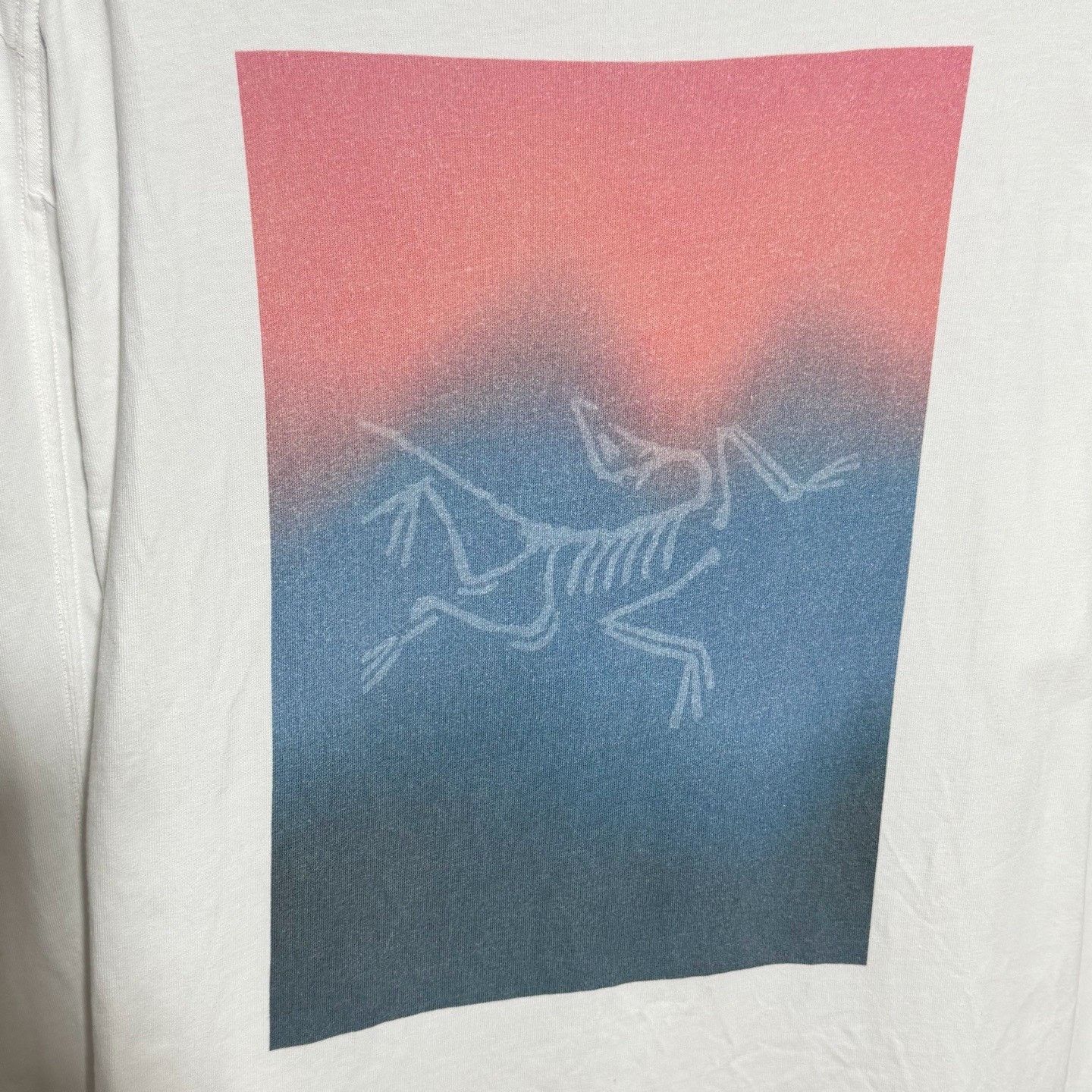 Arc'teryx Arcteryx Kragg Cotton Heatmap Logo T-Shirt Size US M / EU 48-50 / 2 - 6 Thumbnail