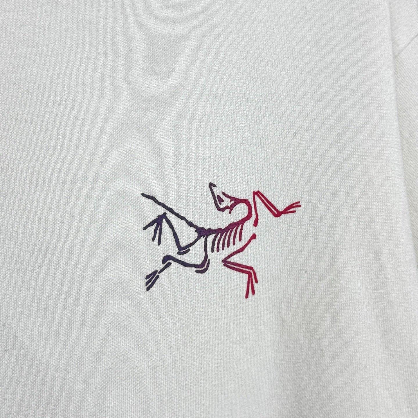 Arc'teryx Arcteryx Kragg Cotton Logo SS T-Shirt Size US M / EU 48-50 / 2 - 4 Thumbnail