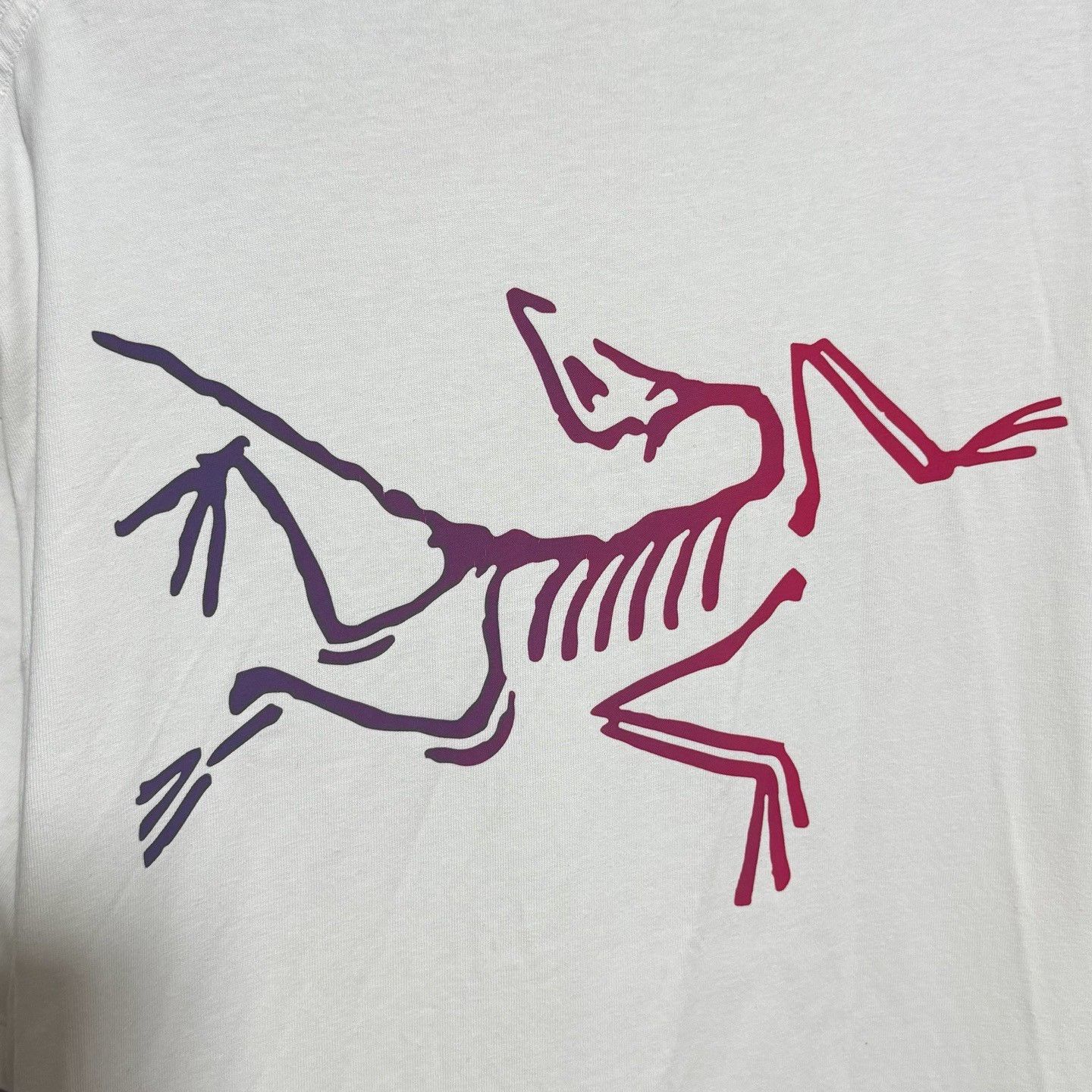 Arc'teryx Arcteryx Kragg Cotton Logo SS T-Shirt Size US M / EU 48-50 / 2 - 5 Thumbnail