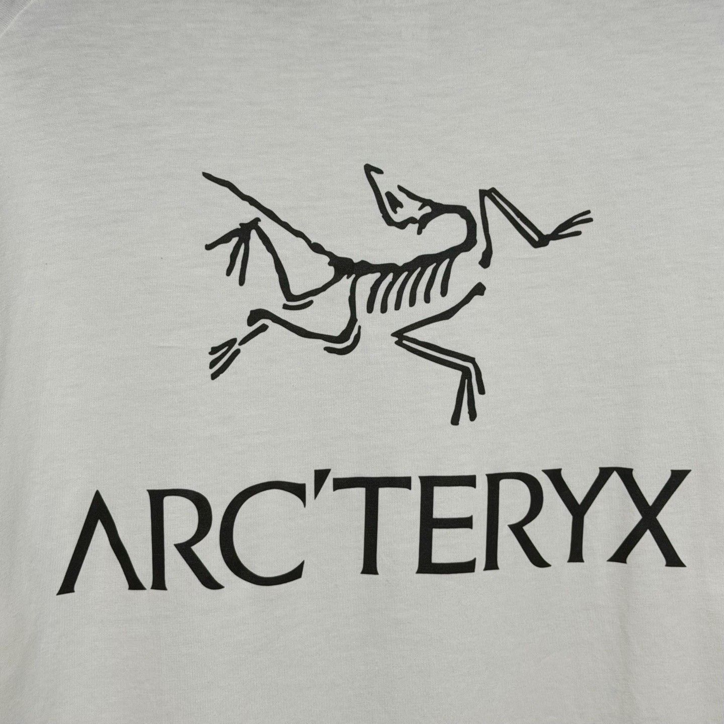 Arc'teryx Arcteryx KRAGG SL Men's Crew Neck T-Shirt Size US M / EU 48-50 / 2 - 5 Thumbnail