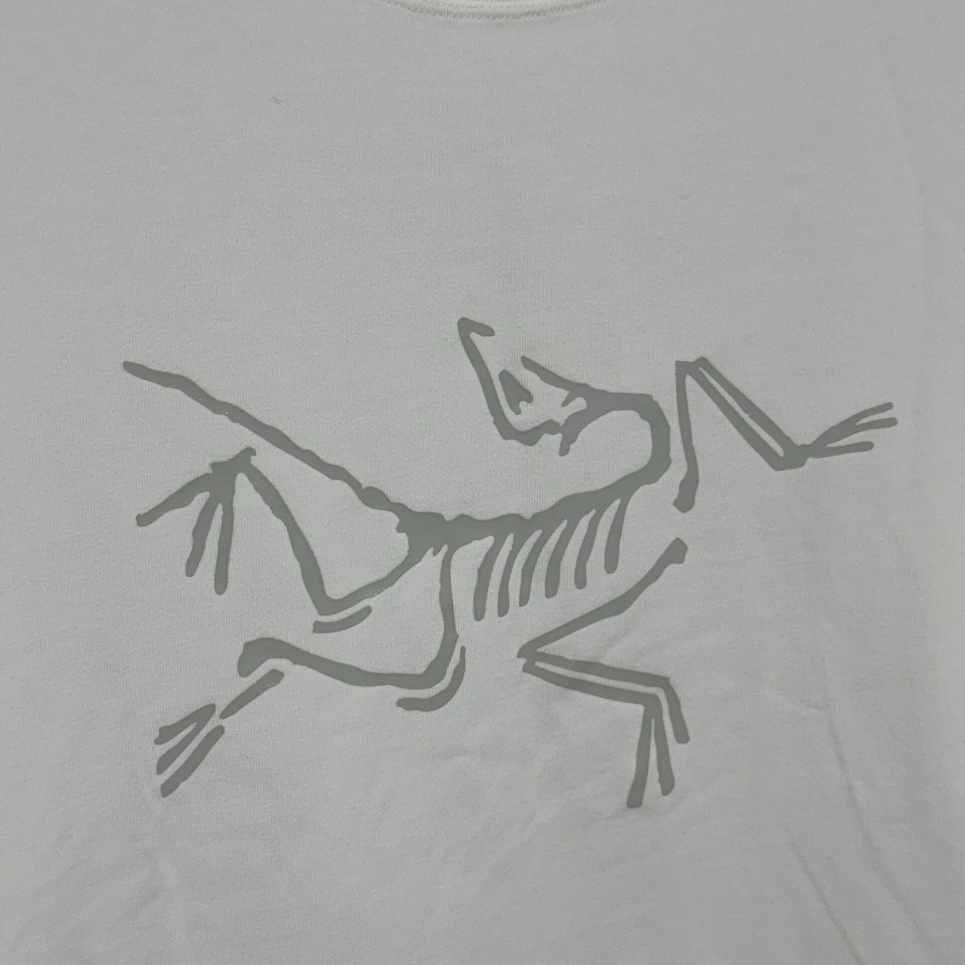 Arc'teryx Arcteryx Envoy Arc'Word Men's T-Shirt Size US S / EU 44-46 / 1 - 3 Thumbnail