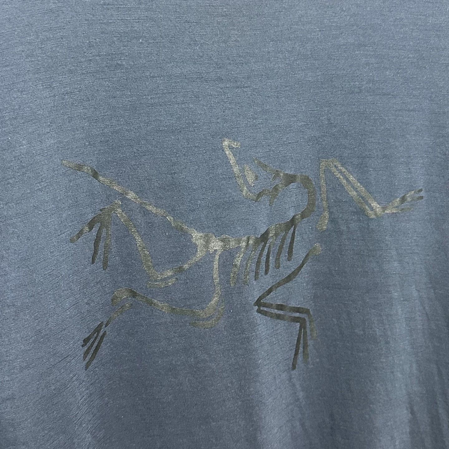 Arc'teryx Arcteryx Ionia Merino Wool Logo Tee Size US L / EU 52-54 / 3 - 4 Thumbnail