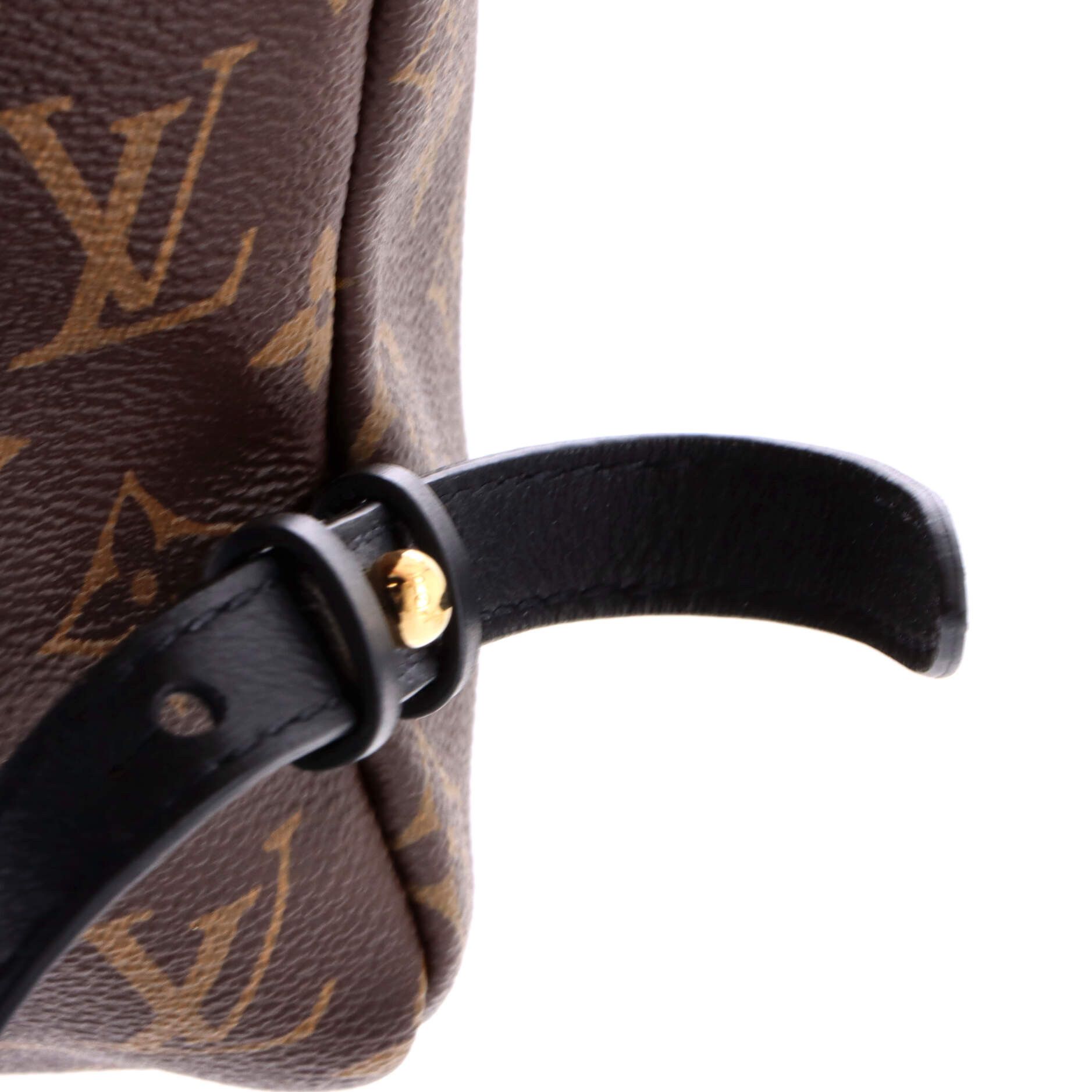 Louis Vuitton Palm springs backpack monogram canvas mm Size ONE SIZE - 5 Thumbnail