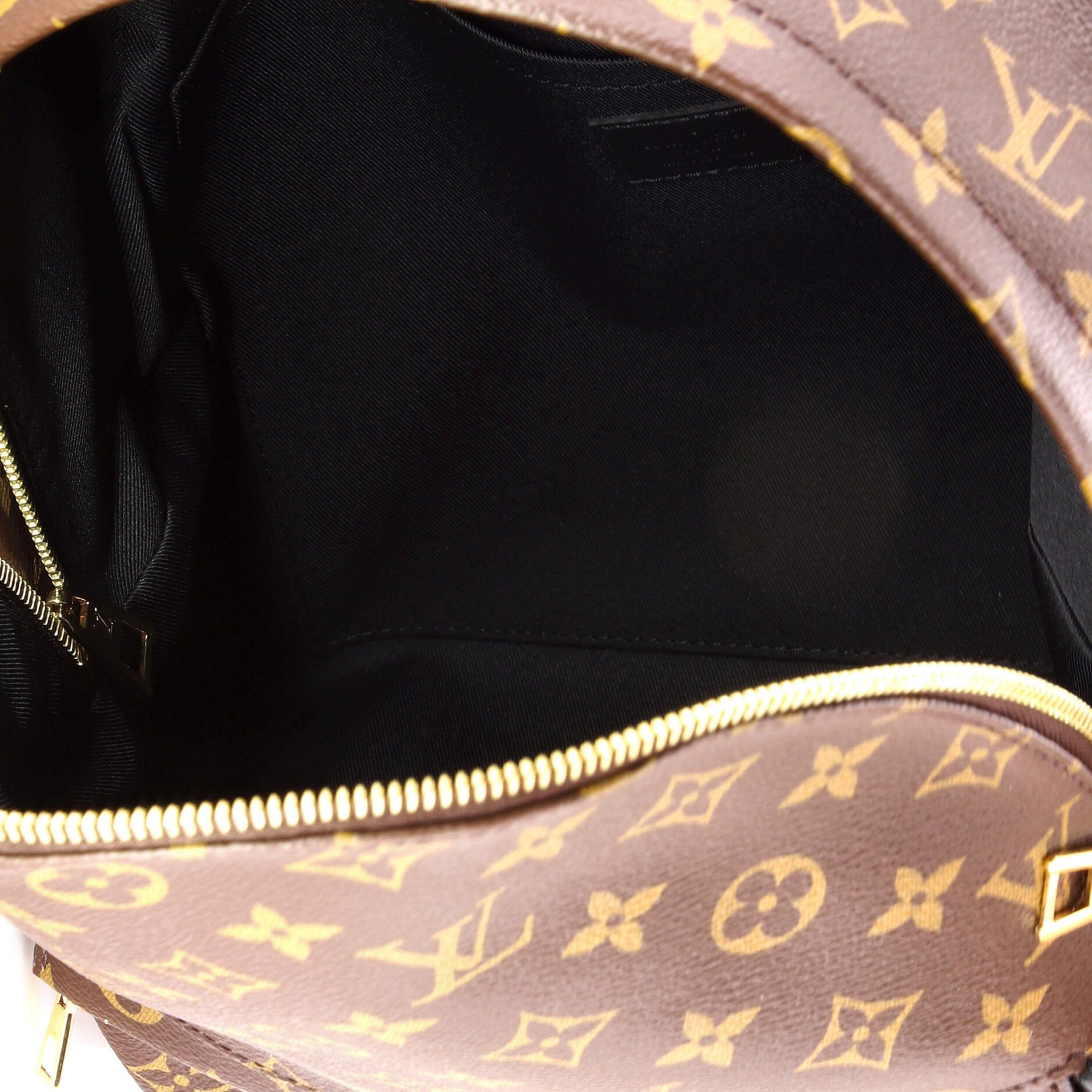 Louis Vuitton Palm springs backpack monogram canvas mm Size ONE SIZE - 4 Thumbnail