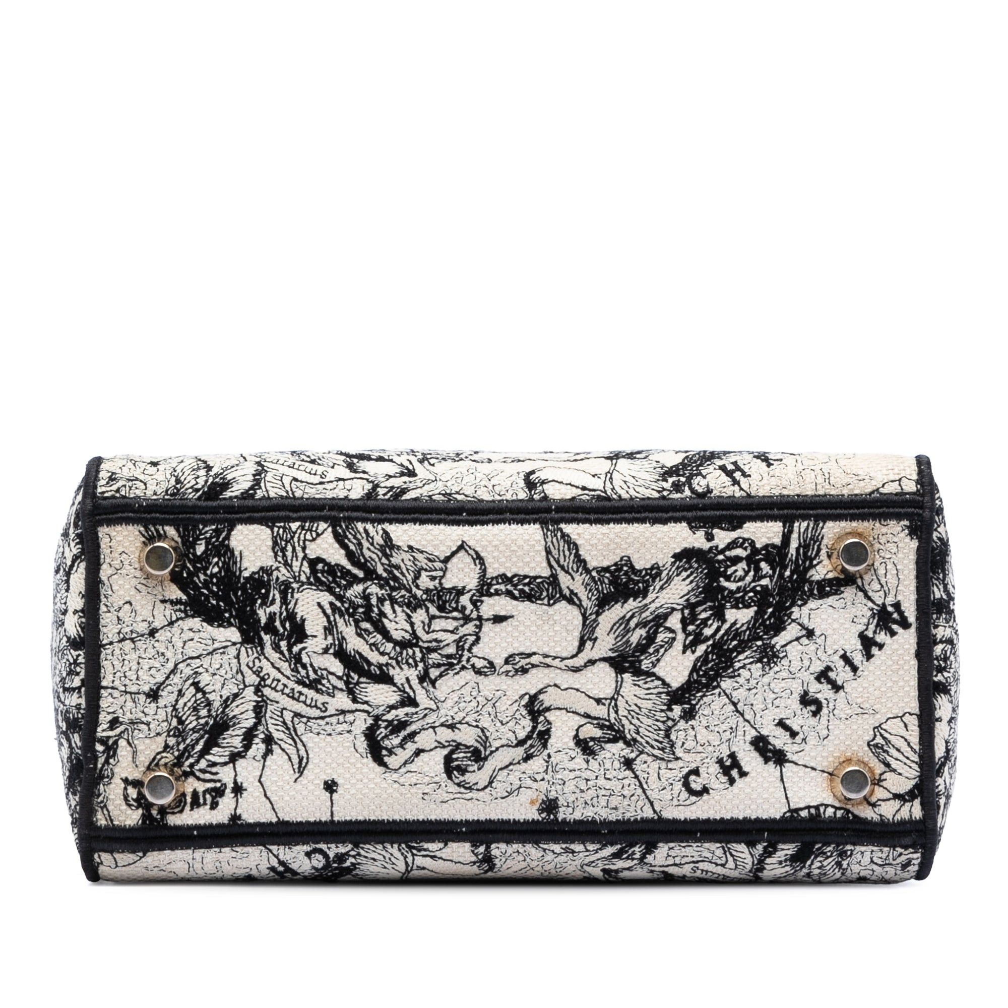 Dior Medium Embroidered Canvas Zodiac Lady D Lite Size ONE SIZE - 3 Thumbnail