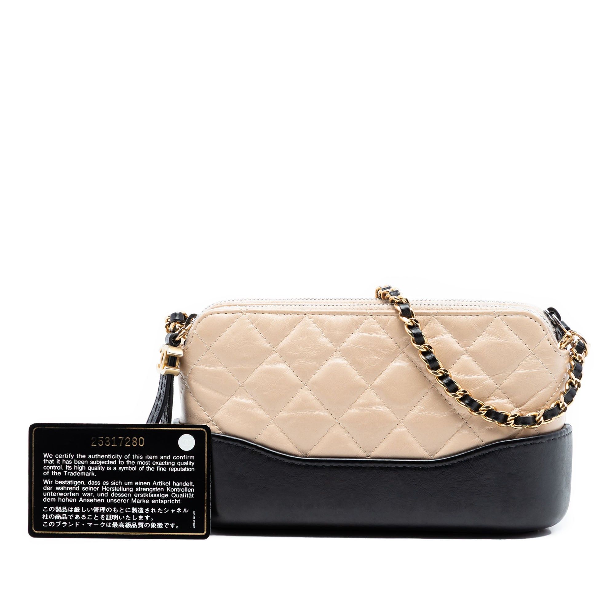 Chanel Bicolor Aged Calfskin Gabrielle Double Zip Clutch with Chain Size ONE SIZE - 8 Thumbnail