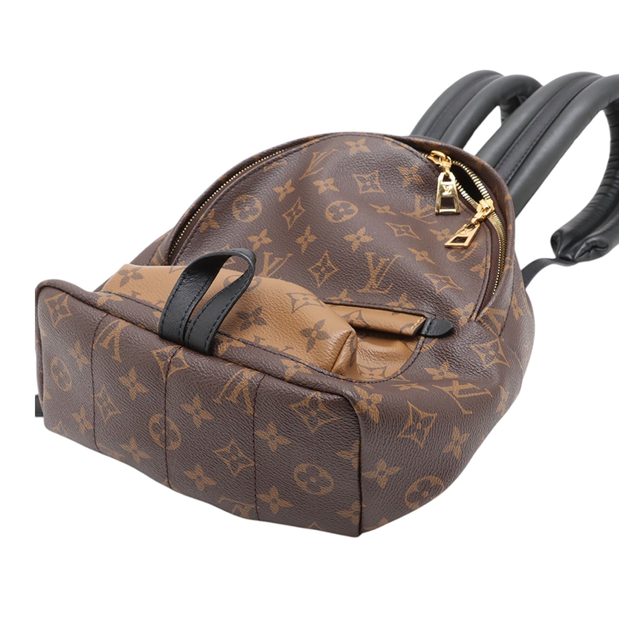 Louis Vuitton Monogram Reverse Palm Springs PM Size ONE SIZE - 4 Thumbnail