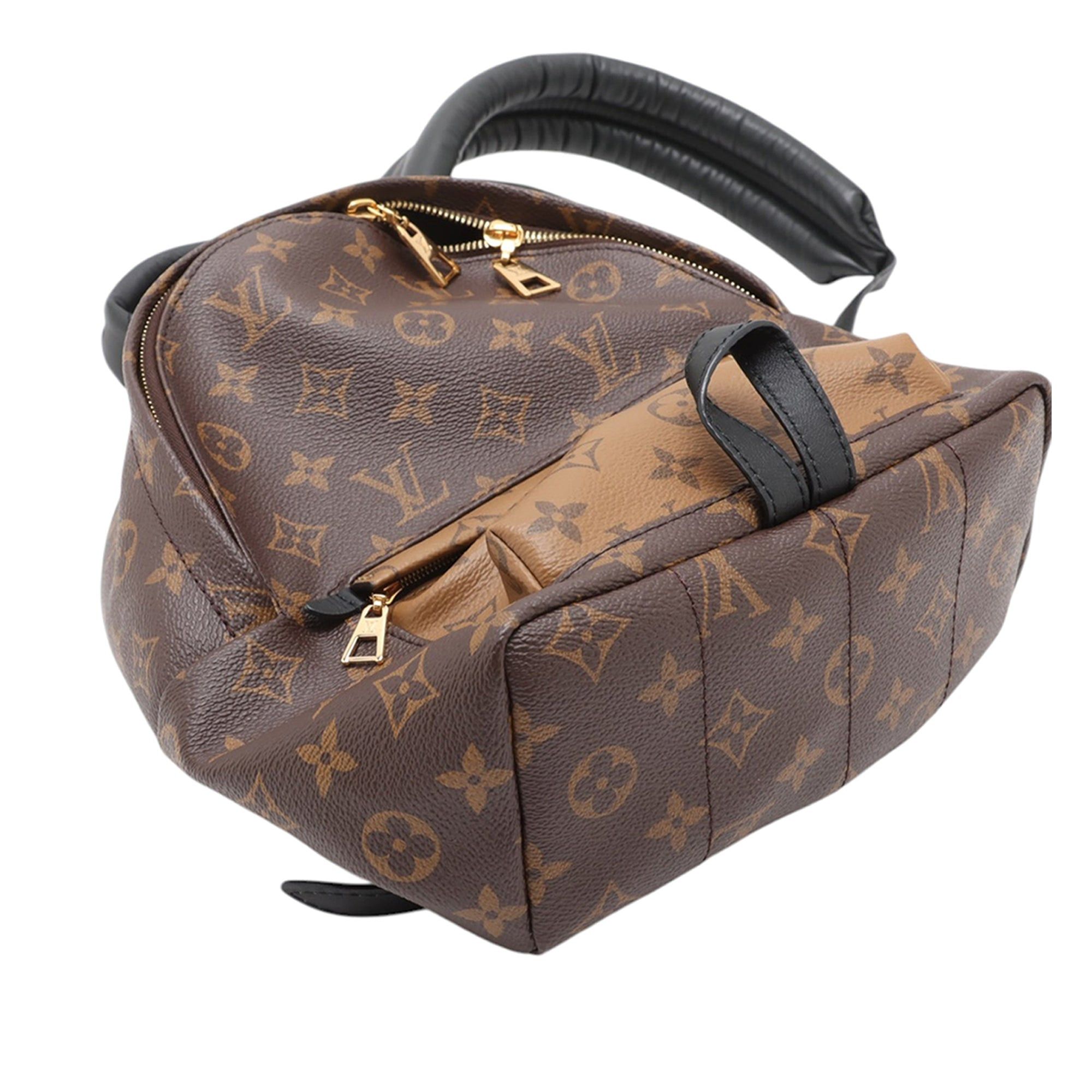 Louis Vuitton Monogram Reverse Palm Springs PM Size ONE SIZE - 3 Thumbnail