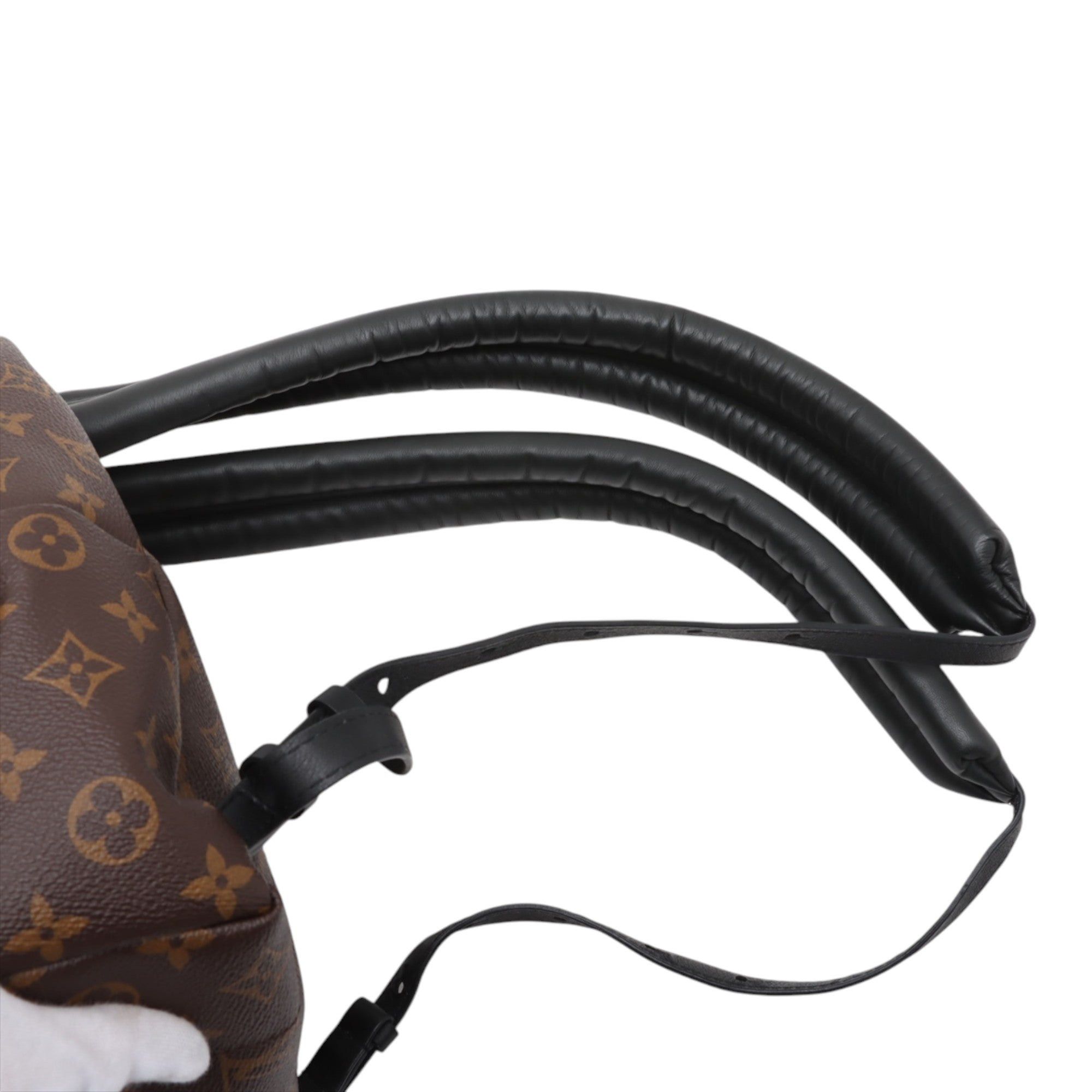 Louis Vuitton Monogram Reverse Palm Springs PM Size ONE SIZE - 10 Thumbnail