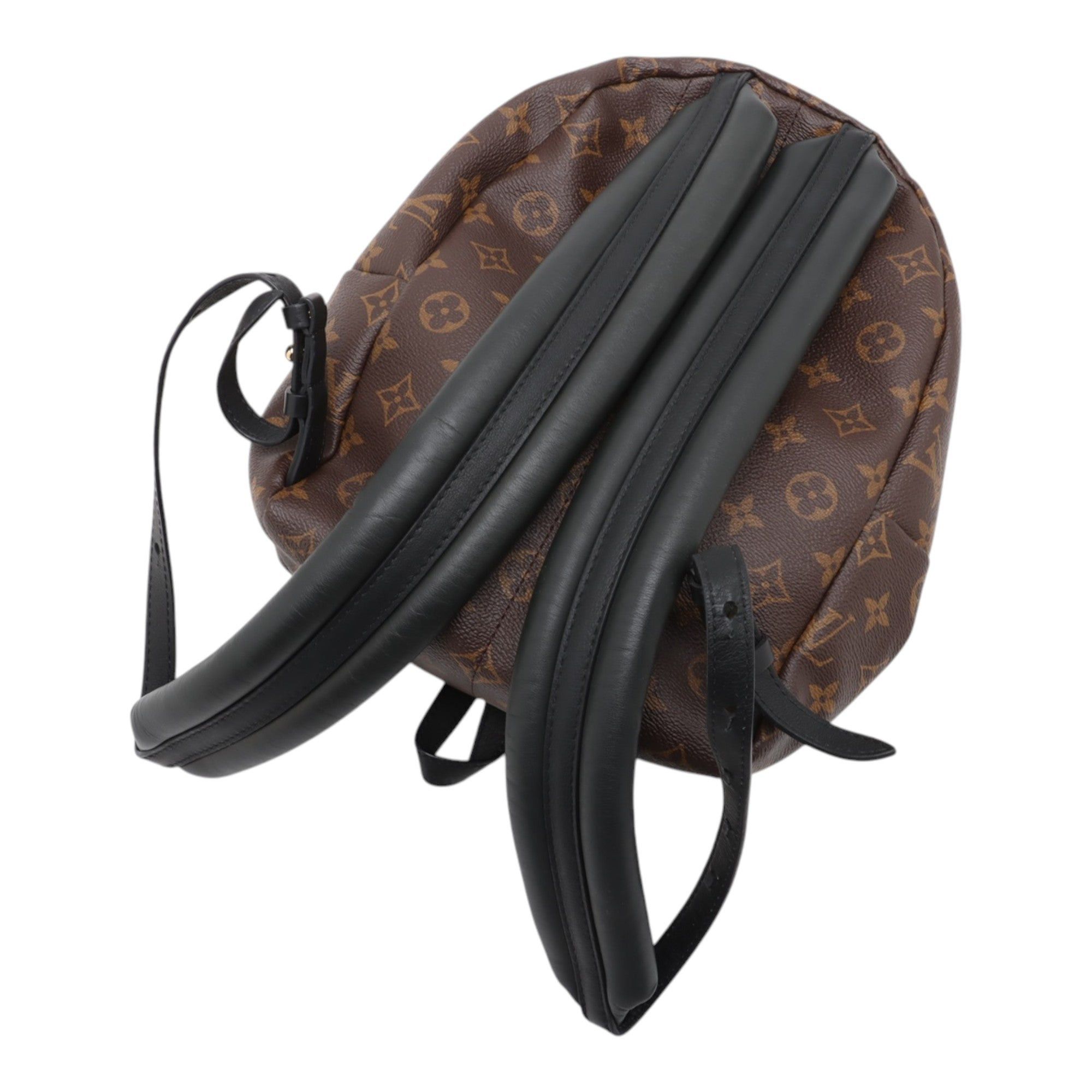 Louis Vuitton Monogram Reverse Palm Springs PM Size ONE SIZE - 9 Thumbnail