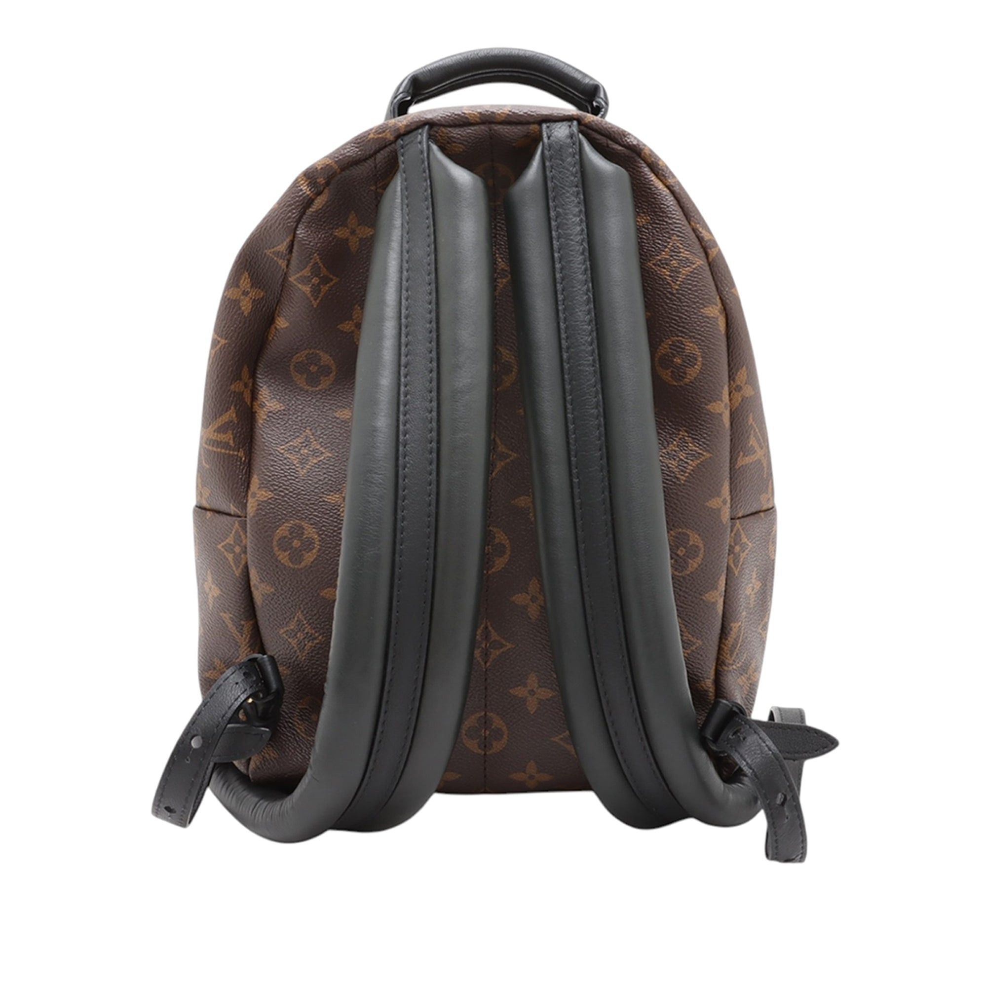 Louis Vuitton Monogram Reverse Palm Springs PM Size ONE SIZE - 2 Thumbnail