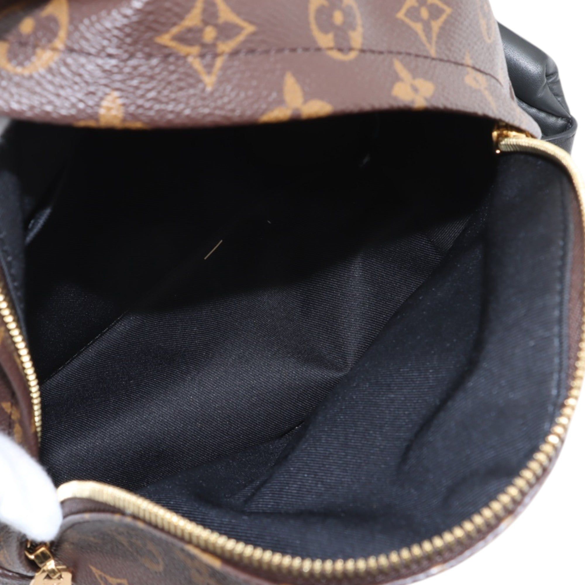 Louis Vuitton Monogram Reverse Palm Springs PM Size ONE SIZE - 5 Thumbnail