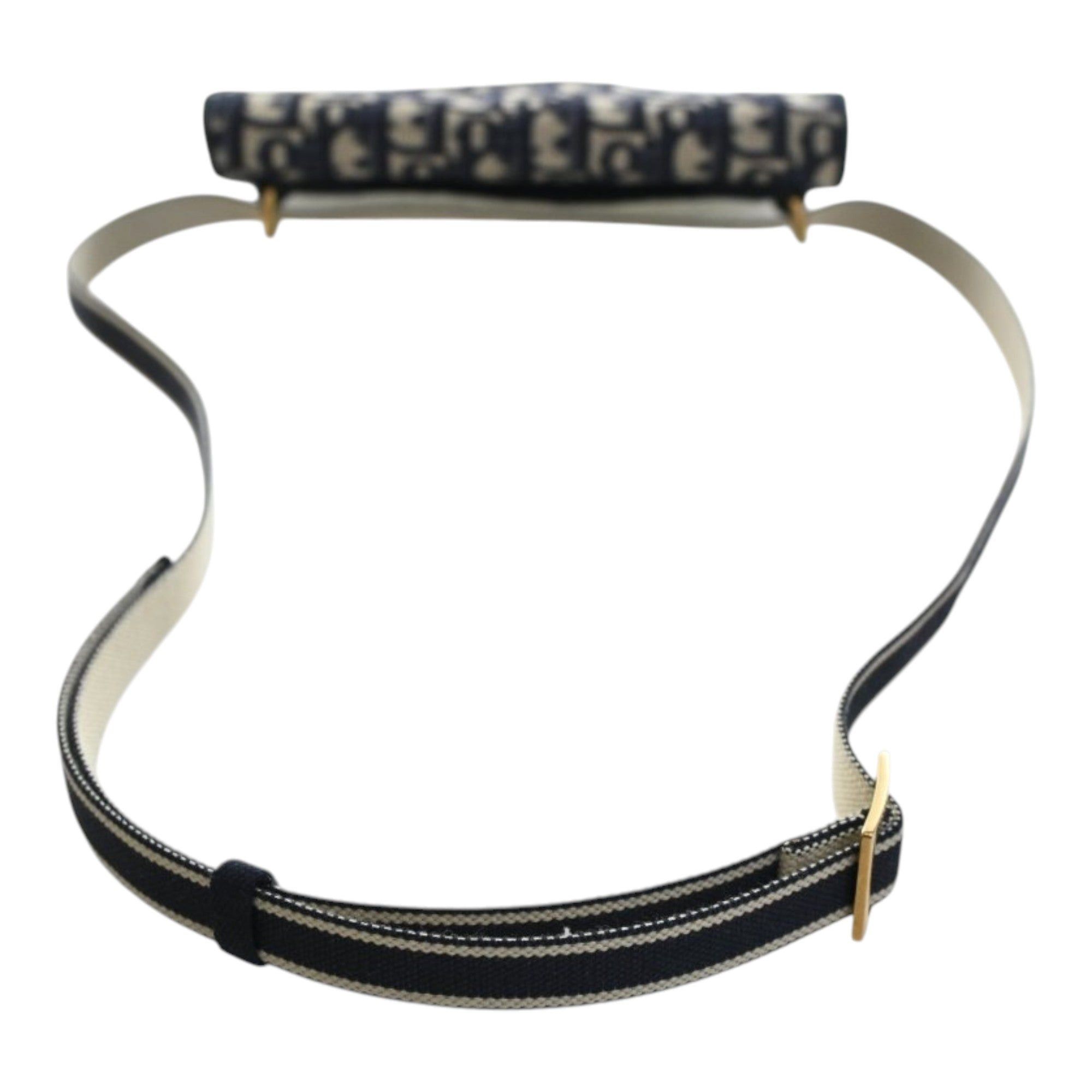Dior Oblique Canvas Embroidered Saddle Slim Belt Pouch Size ONE SIZE - 11 Thumbnail