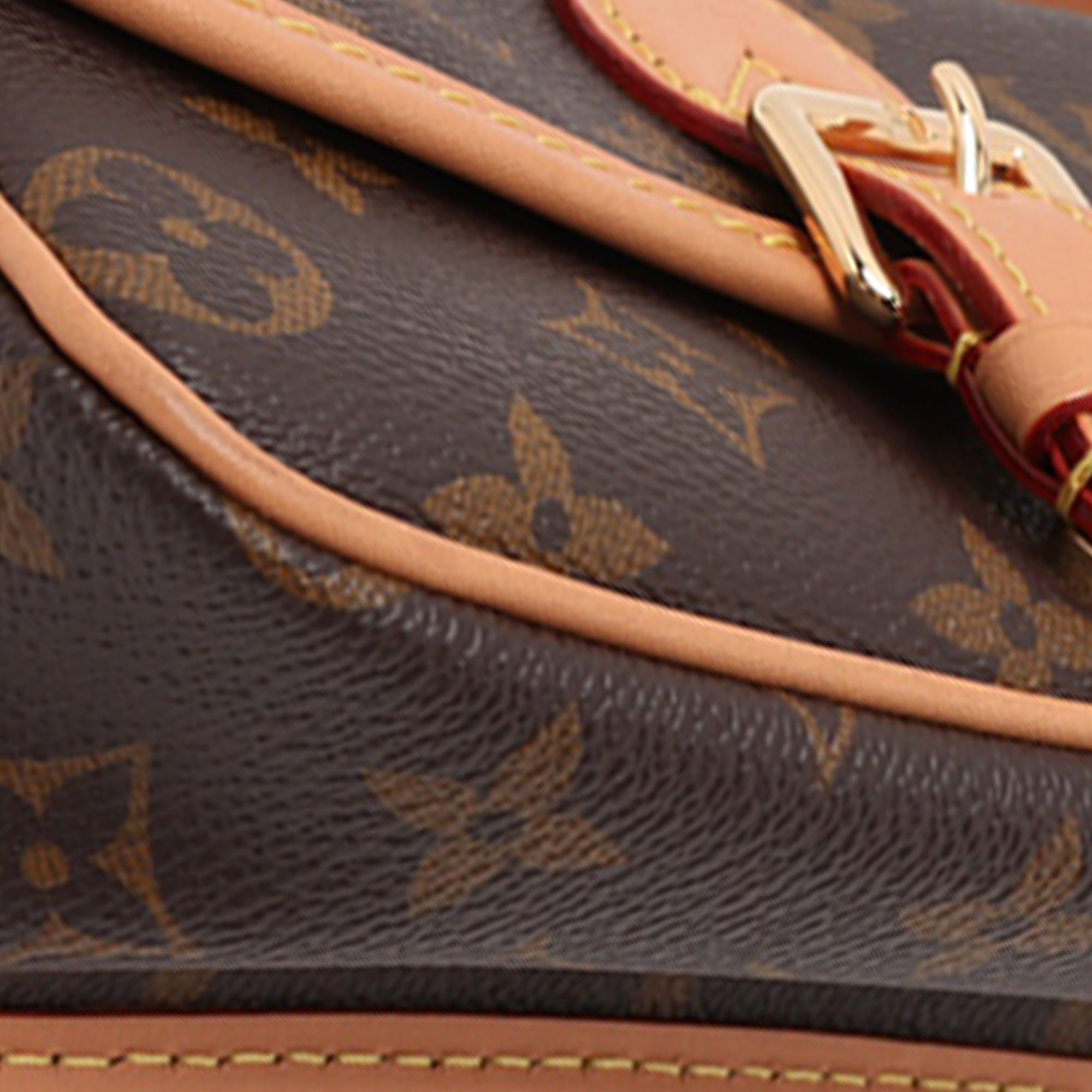 Louis Vuitton Monogram Nano Diane Size ONE SIZE - 7 Thumbnail
