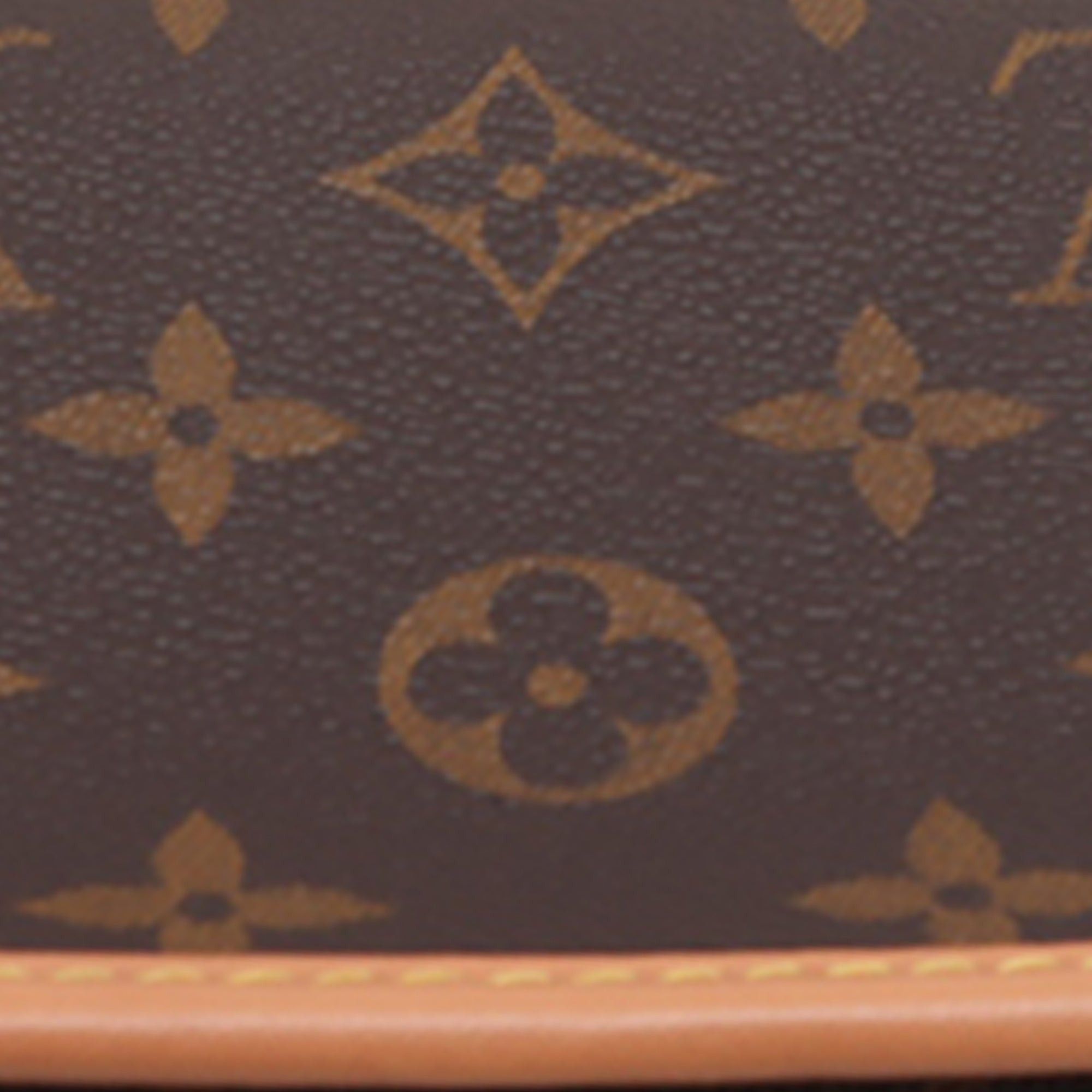 Louis Vuitton Monogram Nano Diane Size ONE SIZE - 9 Thumbnail
