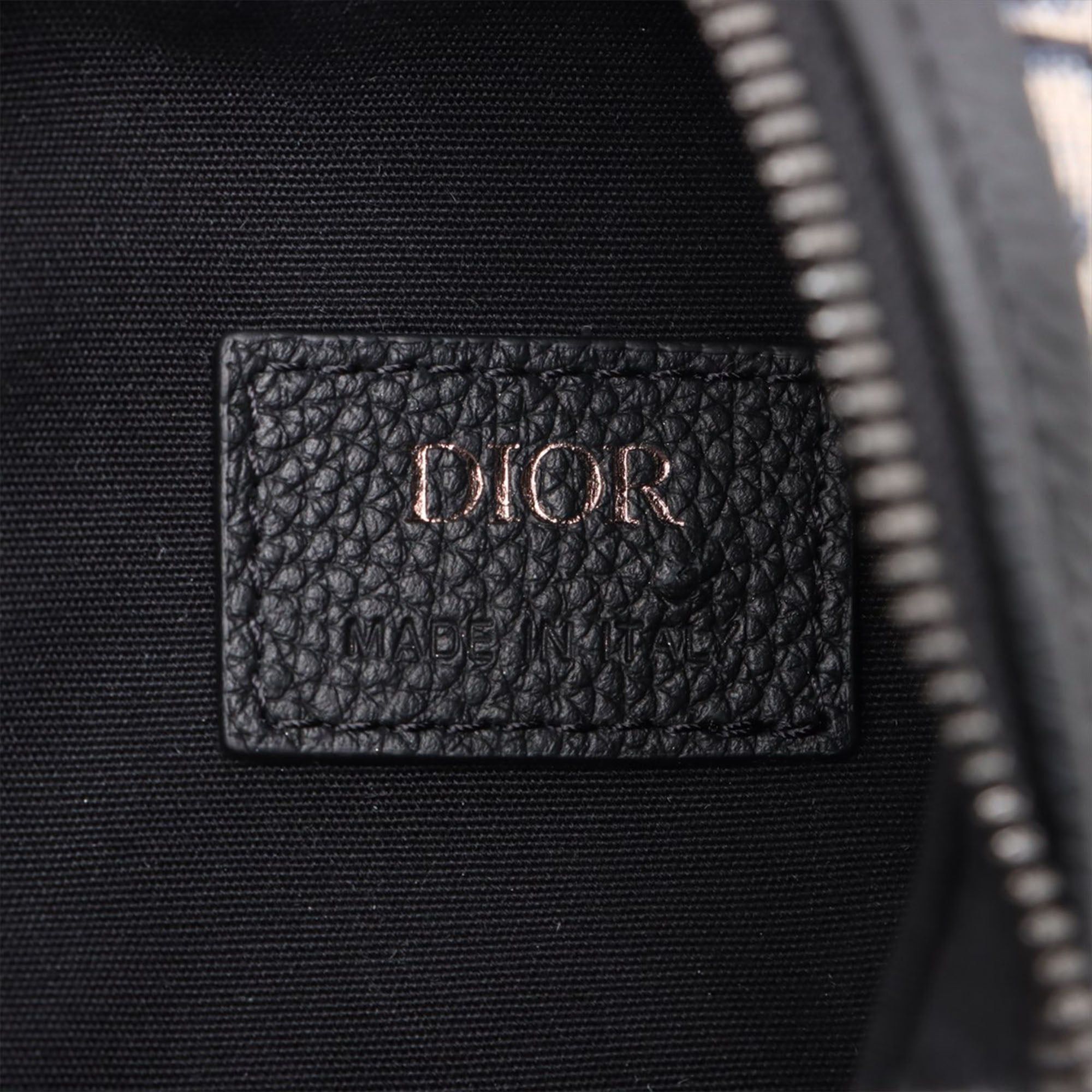 Dior Oblique Canvas Scarab Crossbody Size ONE SIZE - 4 Thumbnail