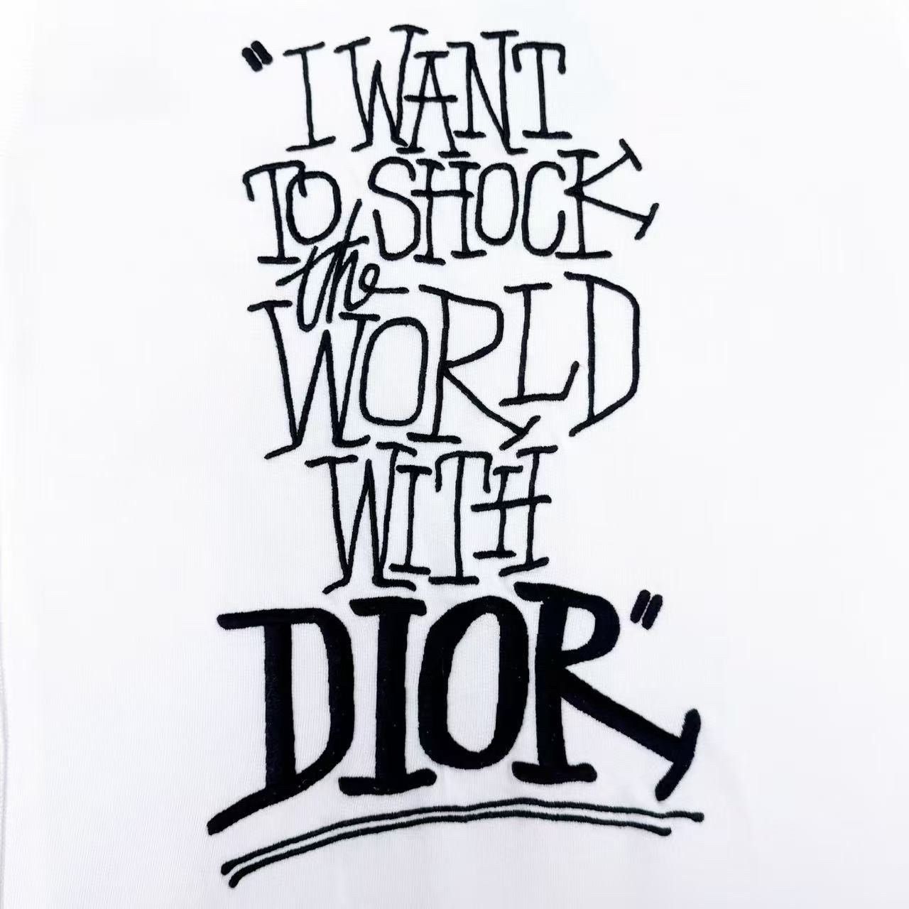 Dior Dior x Stussy Embroidered Logo Hoodie Size US XXS / EU 40 - 4 Thumbnail