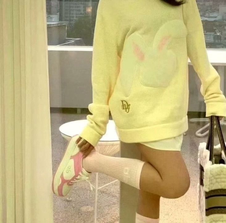 Dior Dior 2023 Beige Rabbit Logo Cotton Knit Size M / US 6-8 / IT 42-44 - 9 Thumbnail